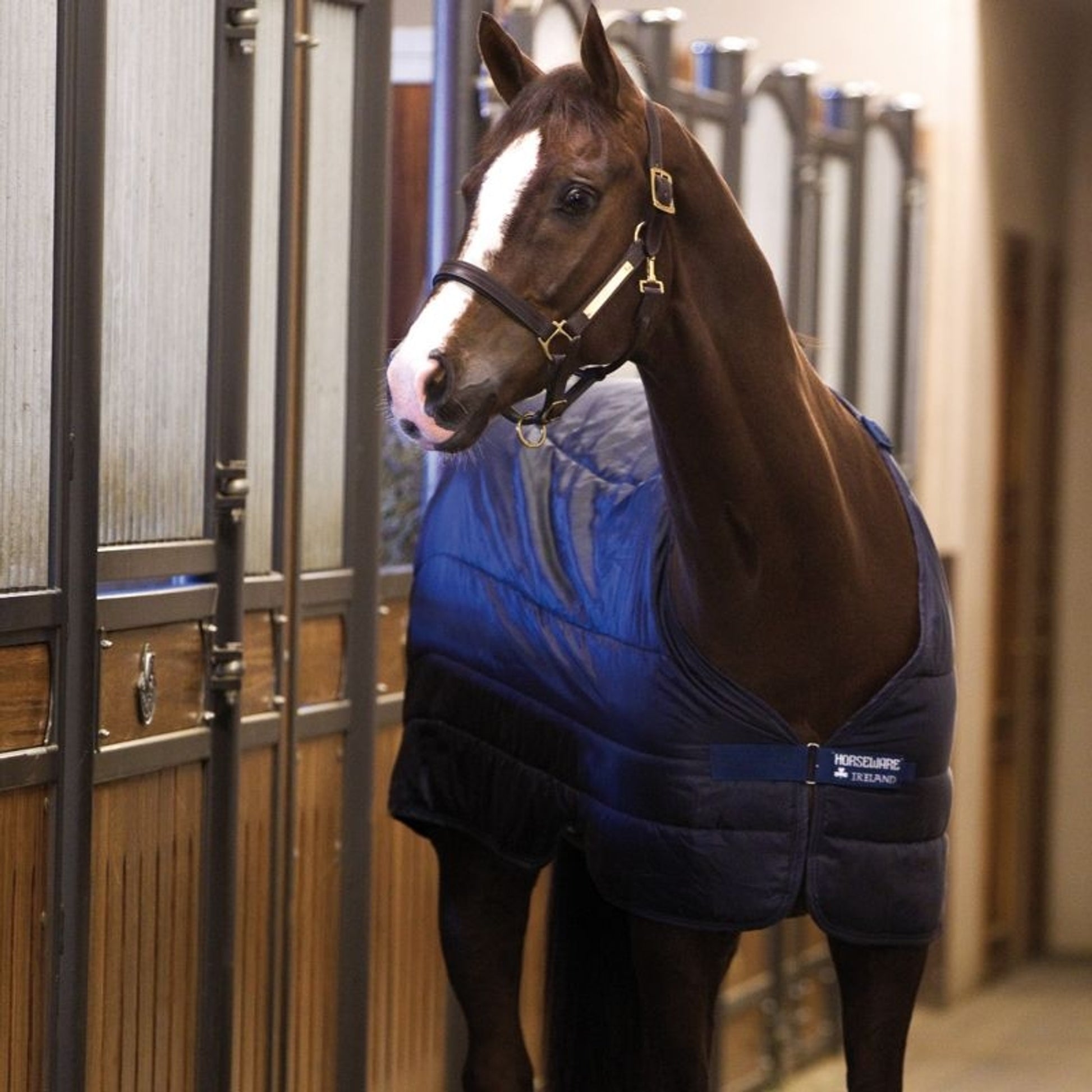 Horseware Blanket Liner 200g
