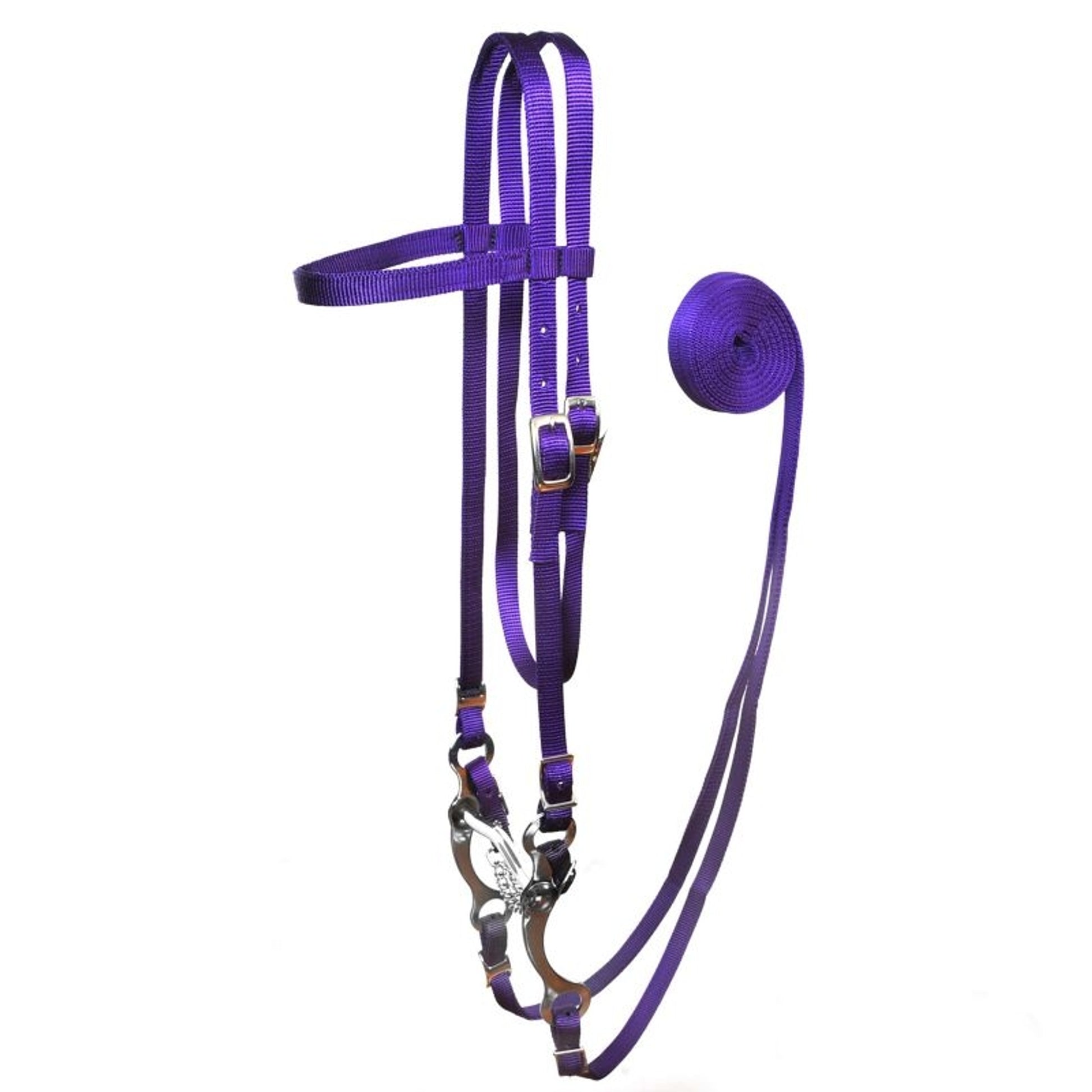 Fabtron Nylon Bridle with Bit