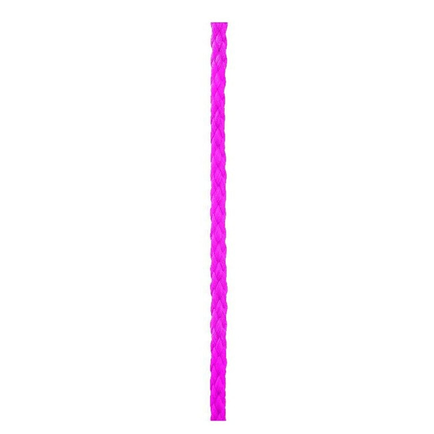 TE011804_727687.jpg