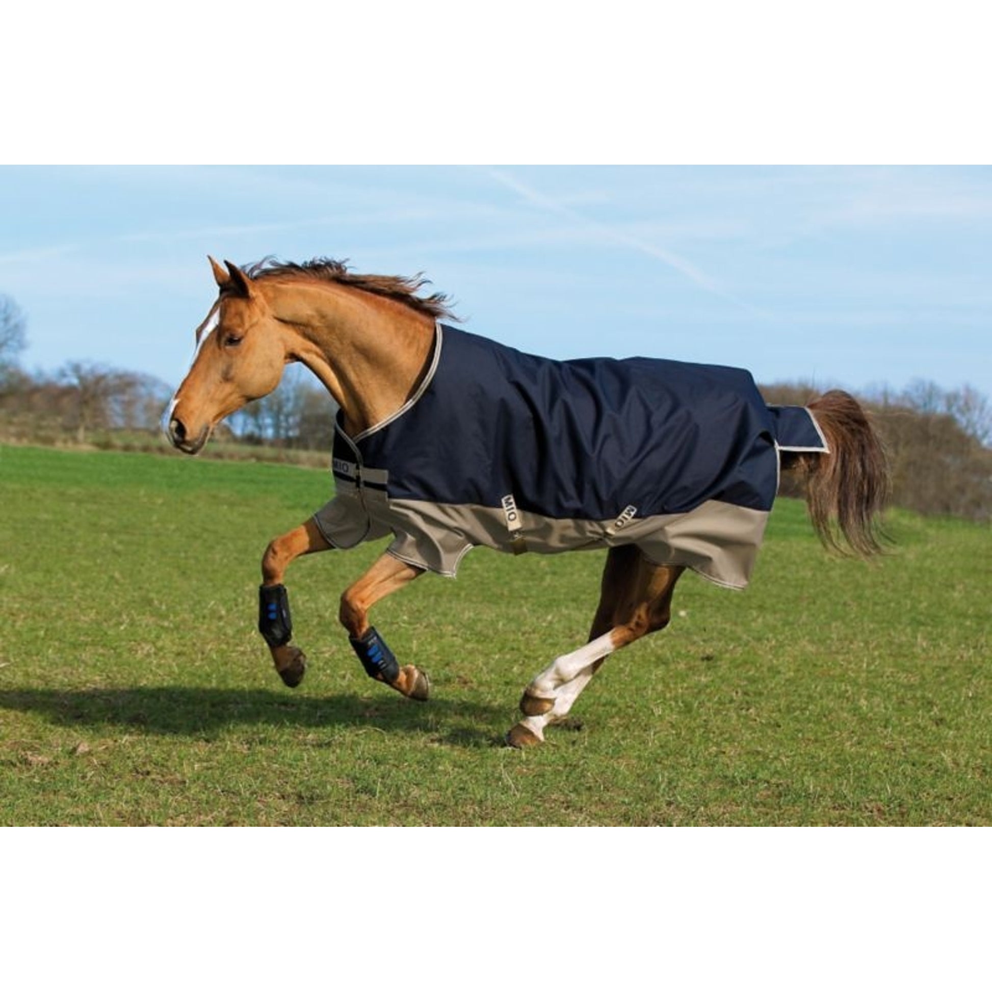 Mio Turnout Sheet Lite