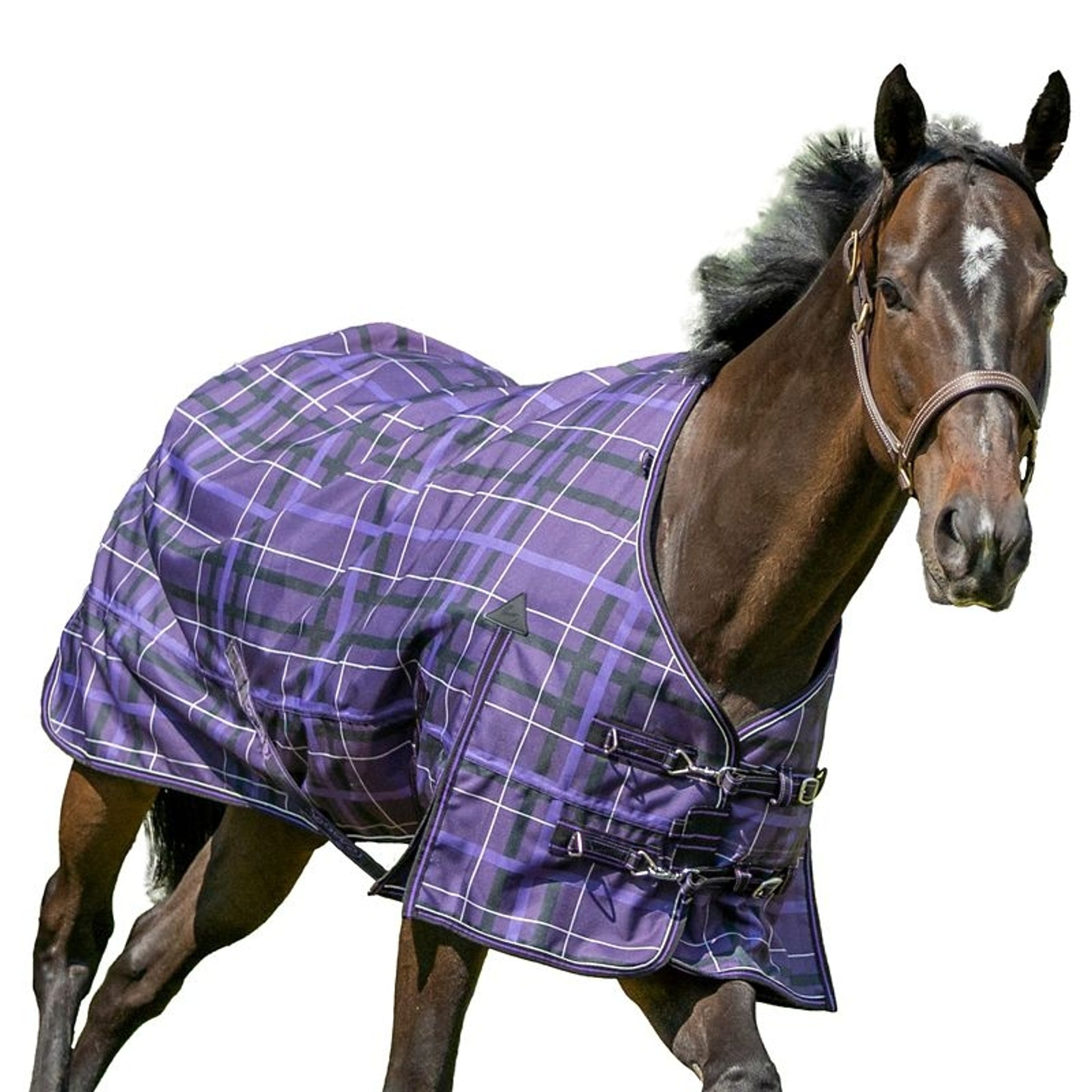Pessoa Alpine 1200D Turnout Blanket