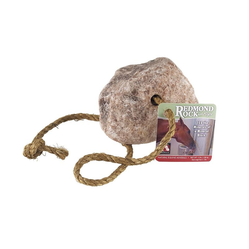 Redmond Rock on a Rope