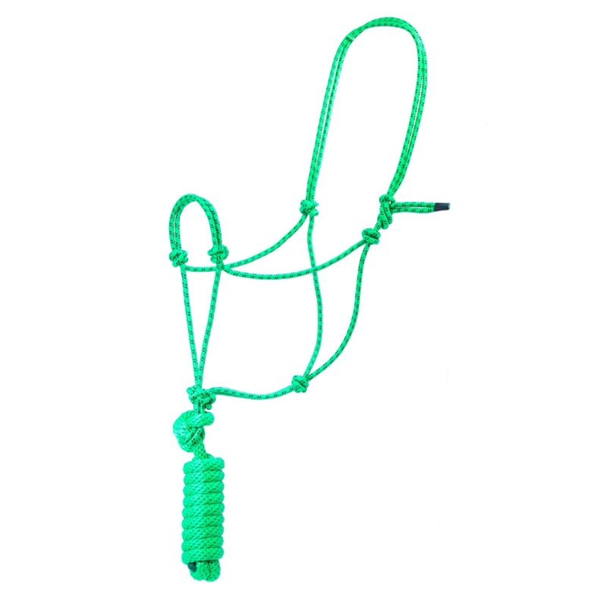 Basic Poly Rope Halter with Lead