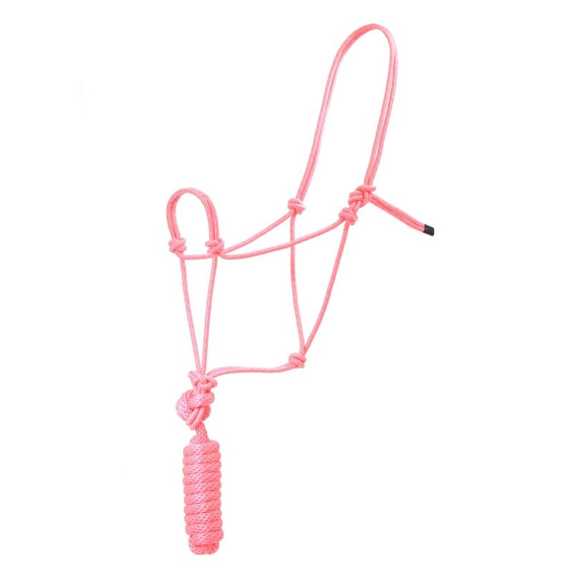 Basic Poly Rope Halter with Lead