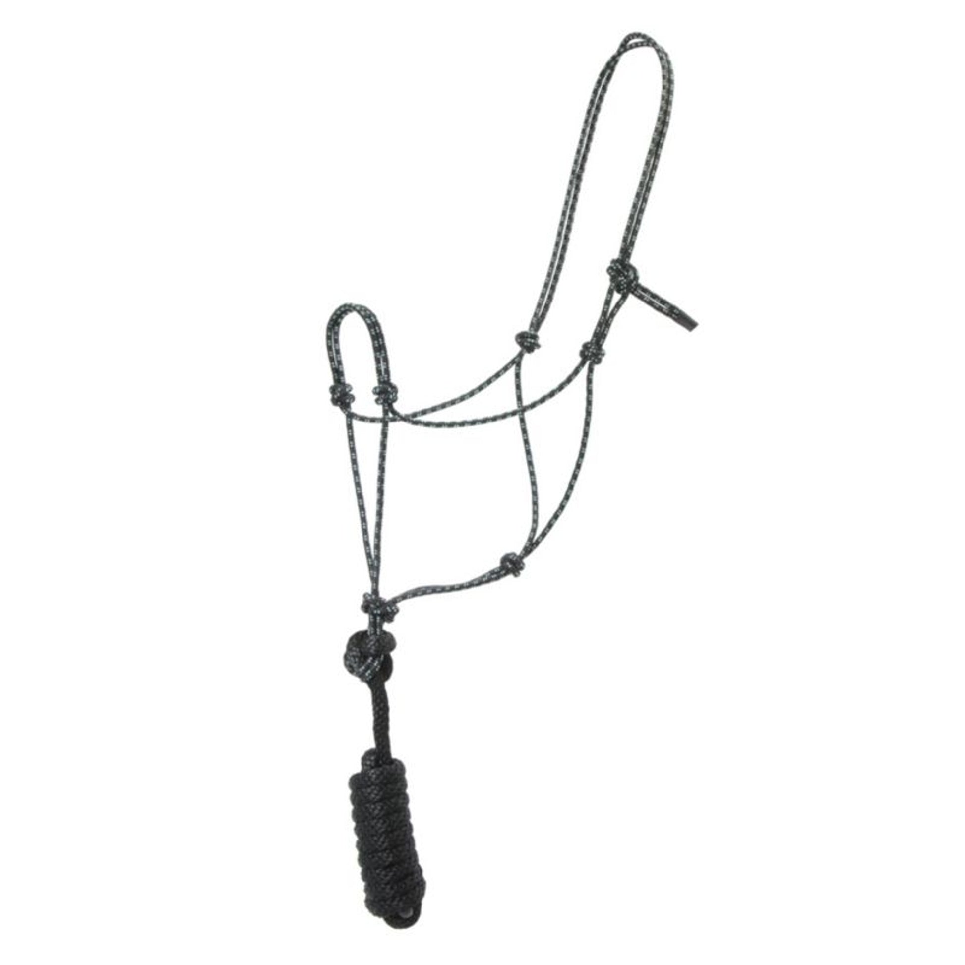 Basic Poly Rope Halter with Lead