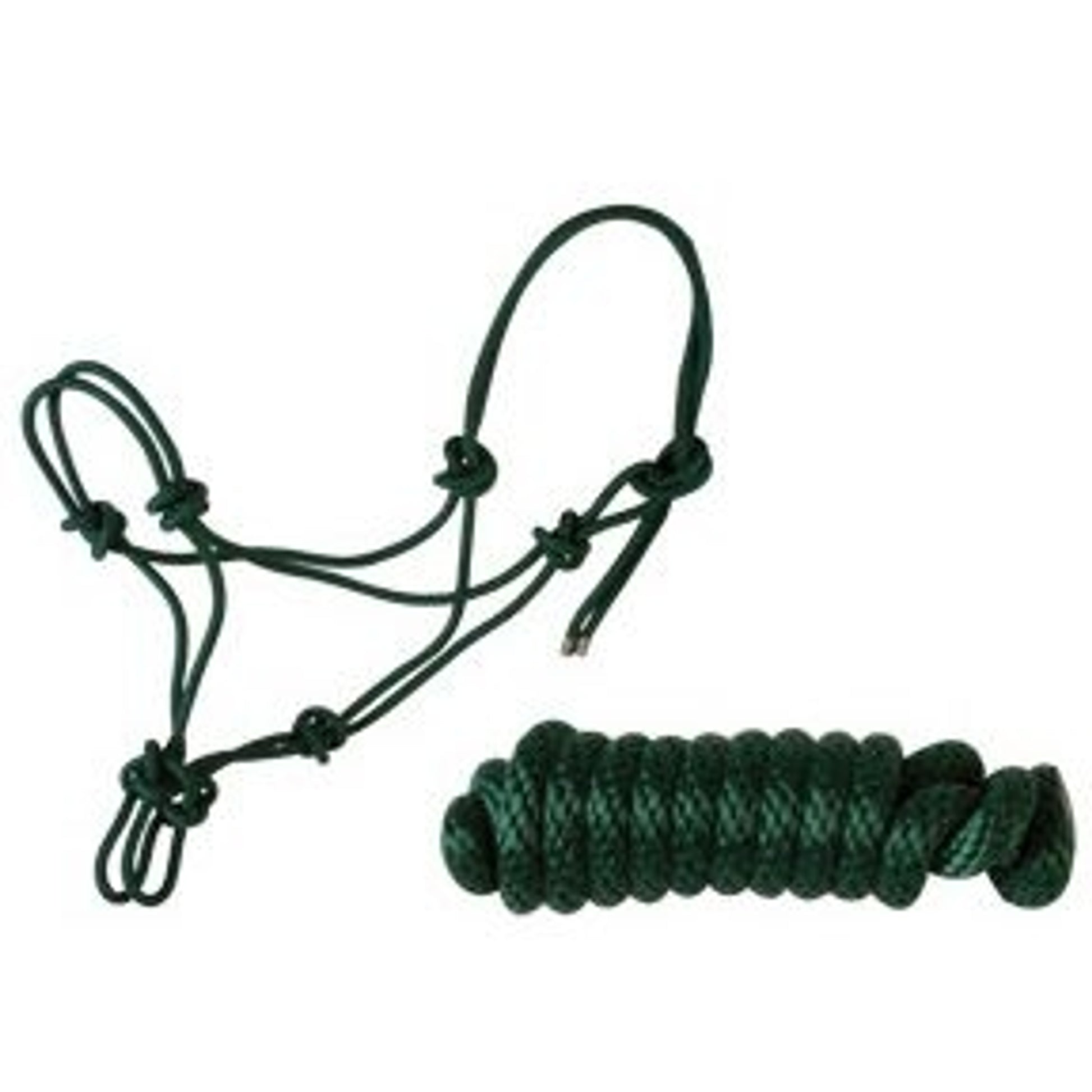 Basic Poly Rope Halter with Lead