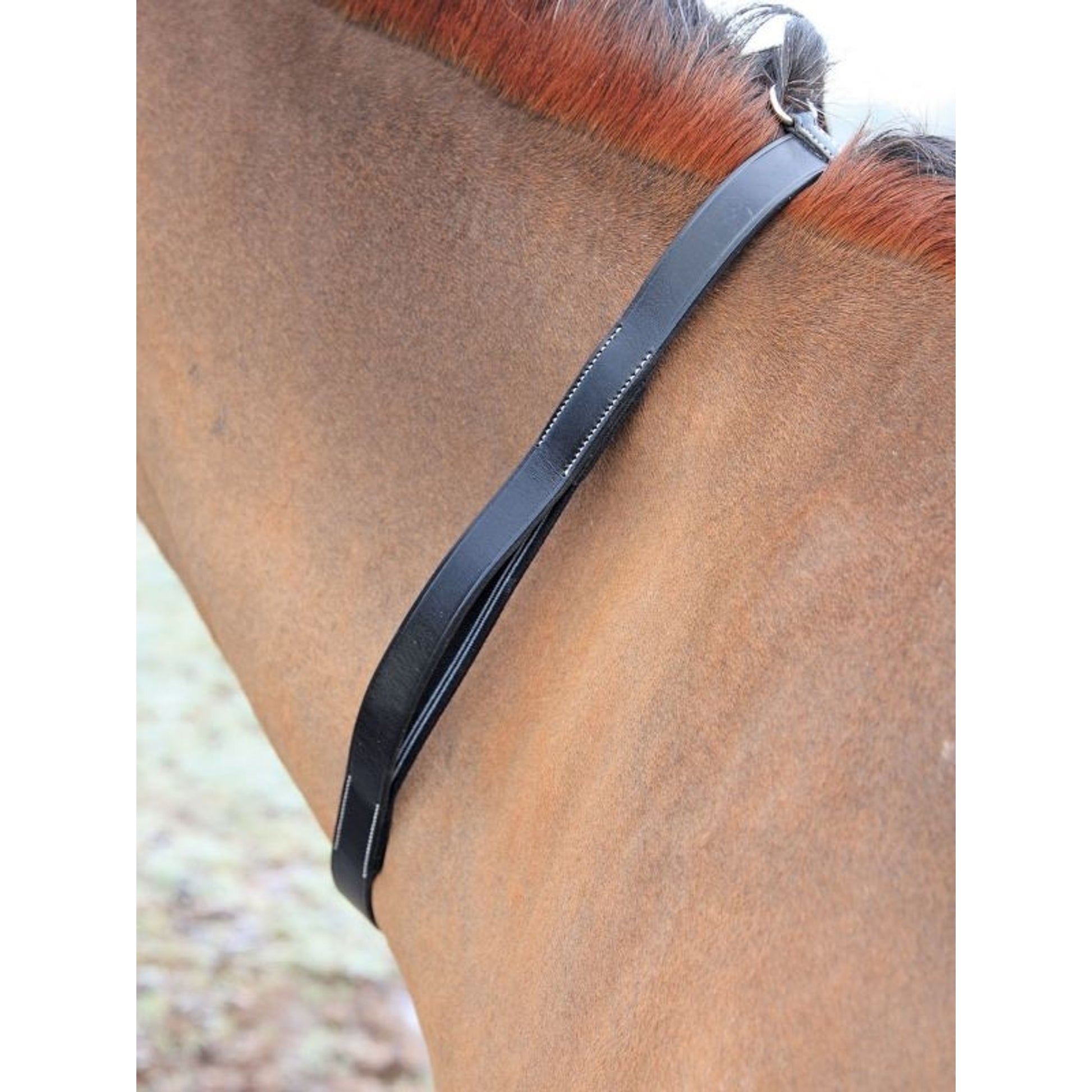 Tapestry Neck Strap