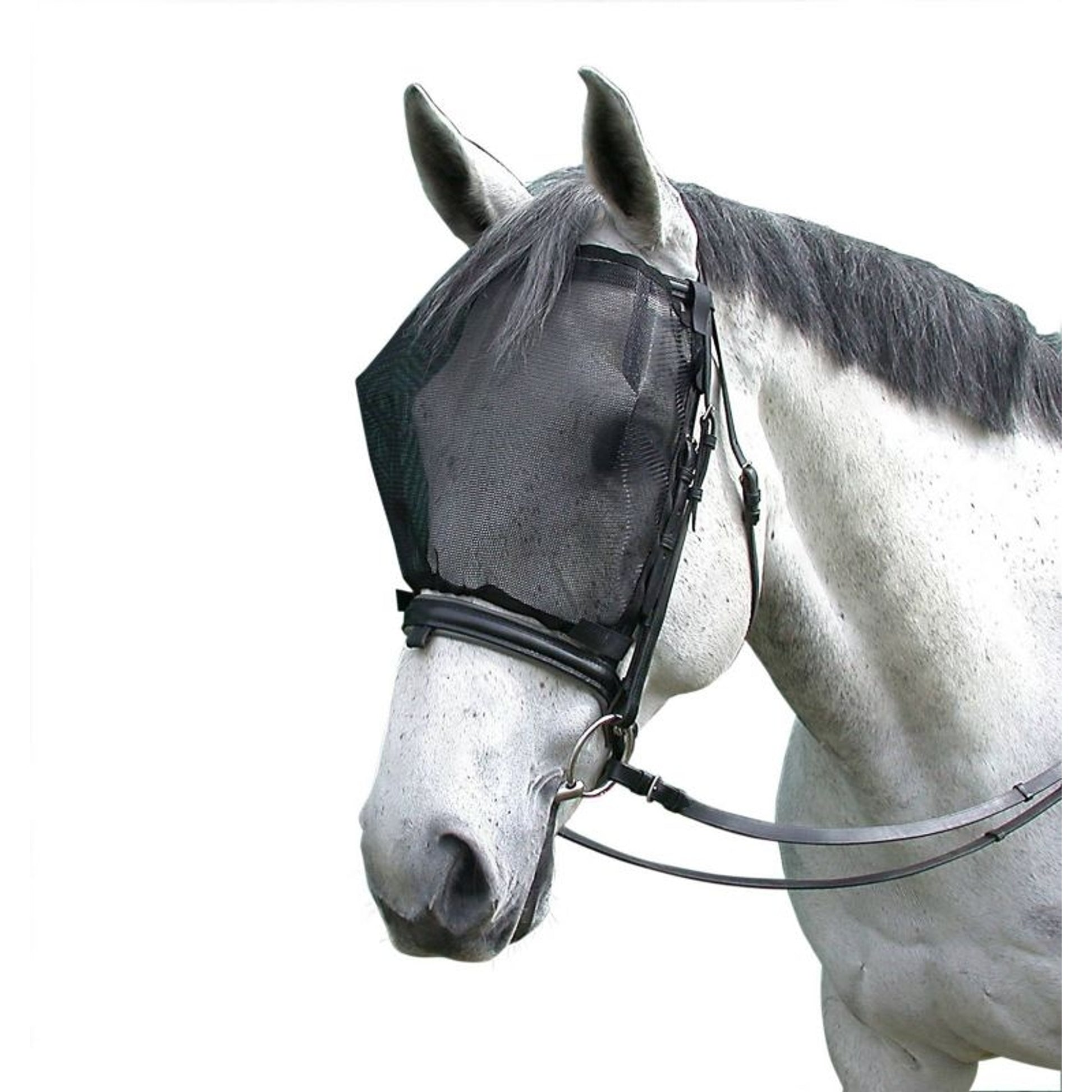 Cavallo Simple Ride Mask without Ears