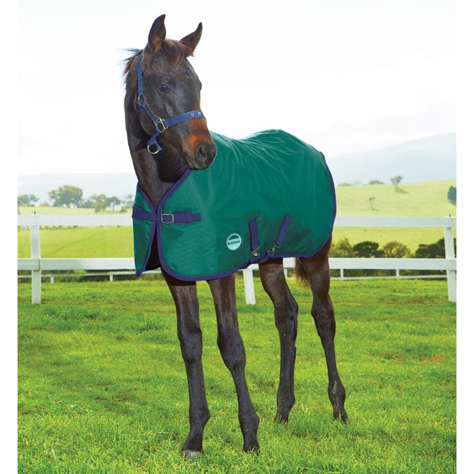 Weatherbeeta ComFiTec Dynamic Standard Foal Med