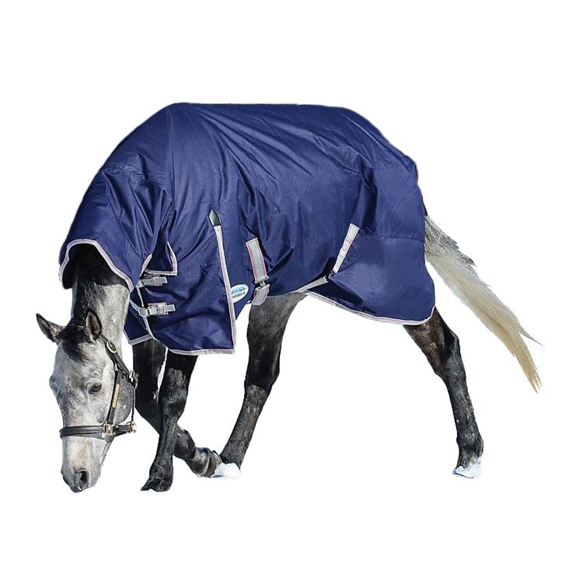 WeatherBeeta ComFiTec Essential Combo Medium