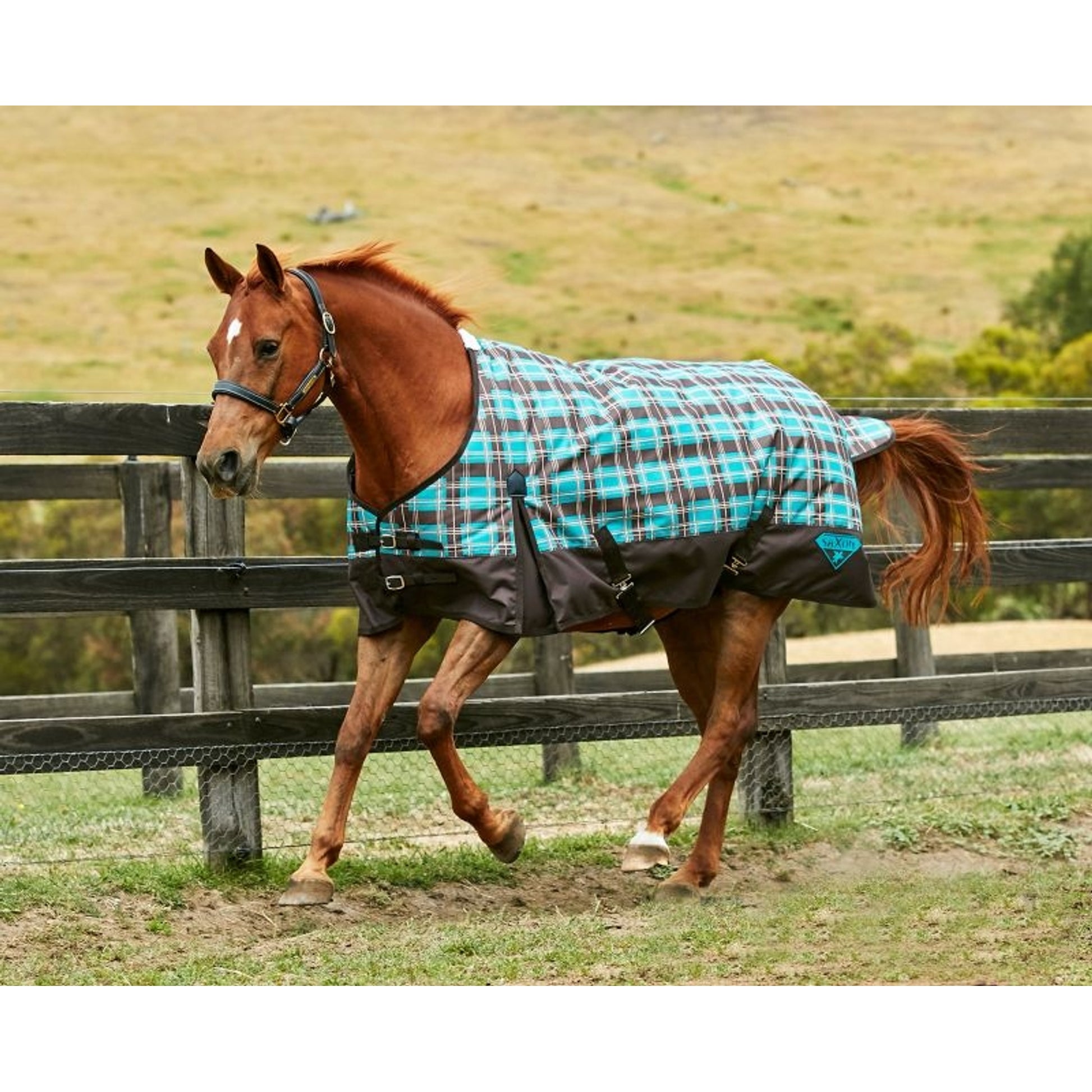 Saxon 1200D Standard Med Blanket