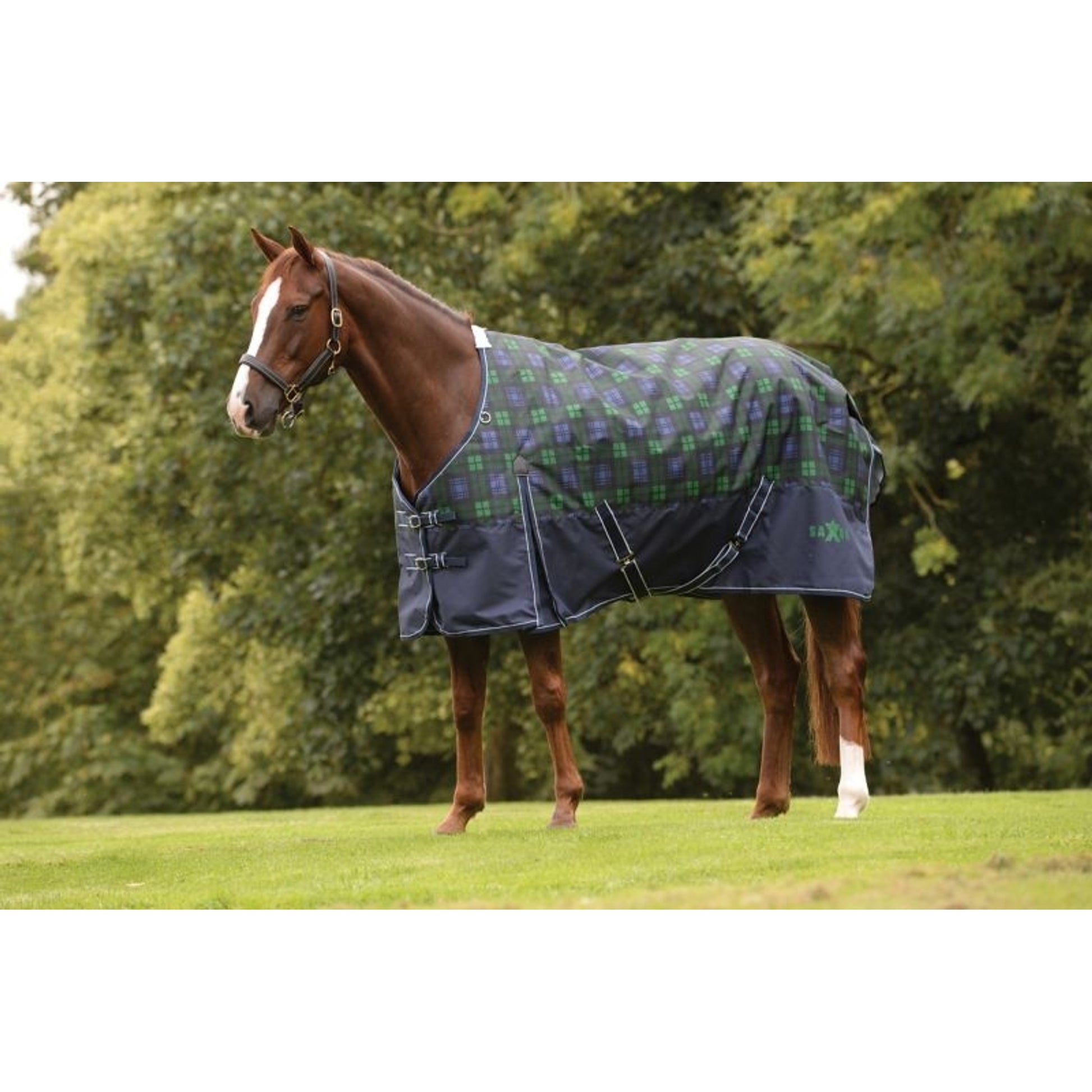 Saxon 1200D Standard Neck Lite