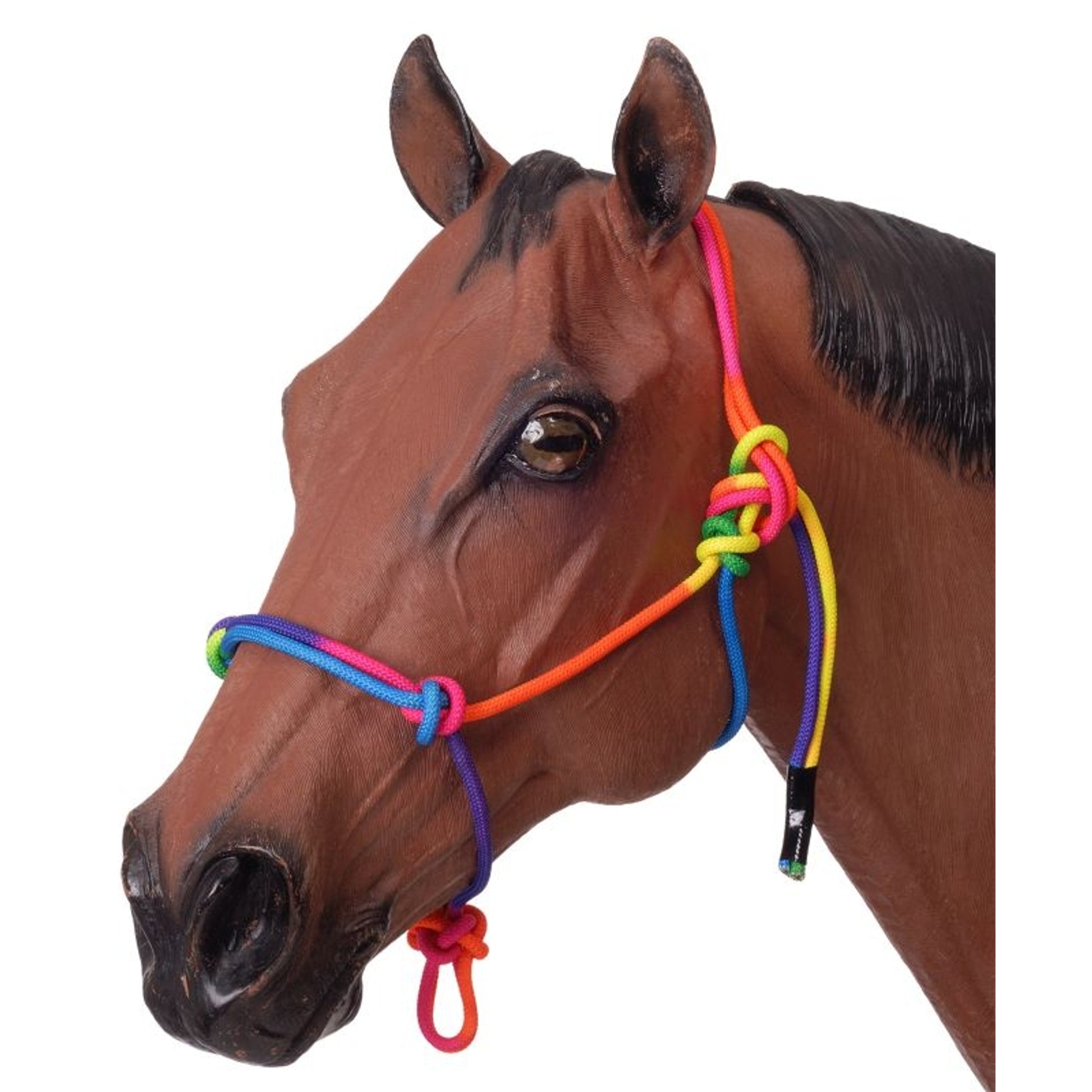 Mini Rope Halter Tough1 Mini Rainbow Rope Halter– MiniTack
