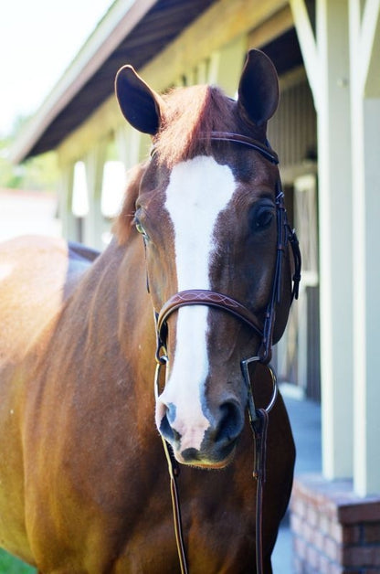 Huntley Sedgwick Leather Fancy Stitch Bridle