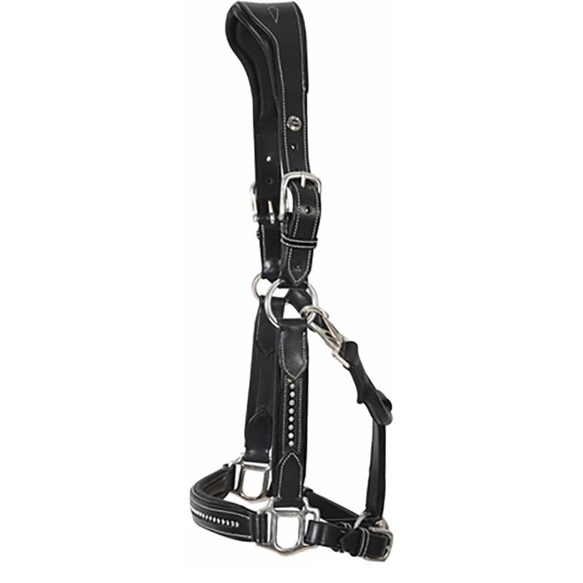 Henry de Rivel Padded Crystal Halter