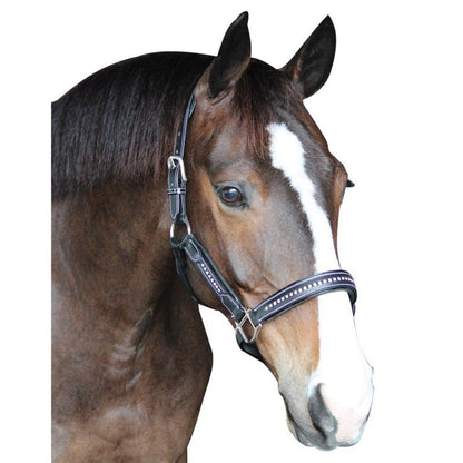 Henry de Rivel Padded Crystal Halter