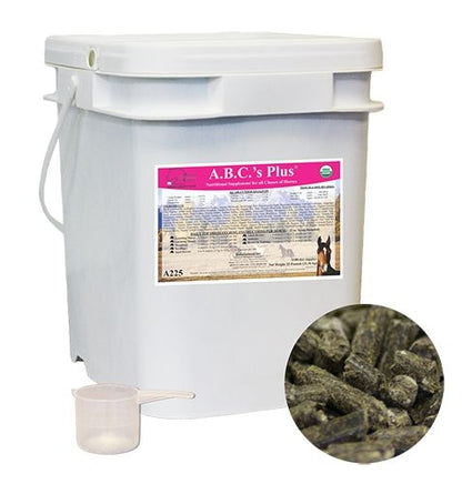 A.B.C.s Plus Equine Supplement