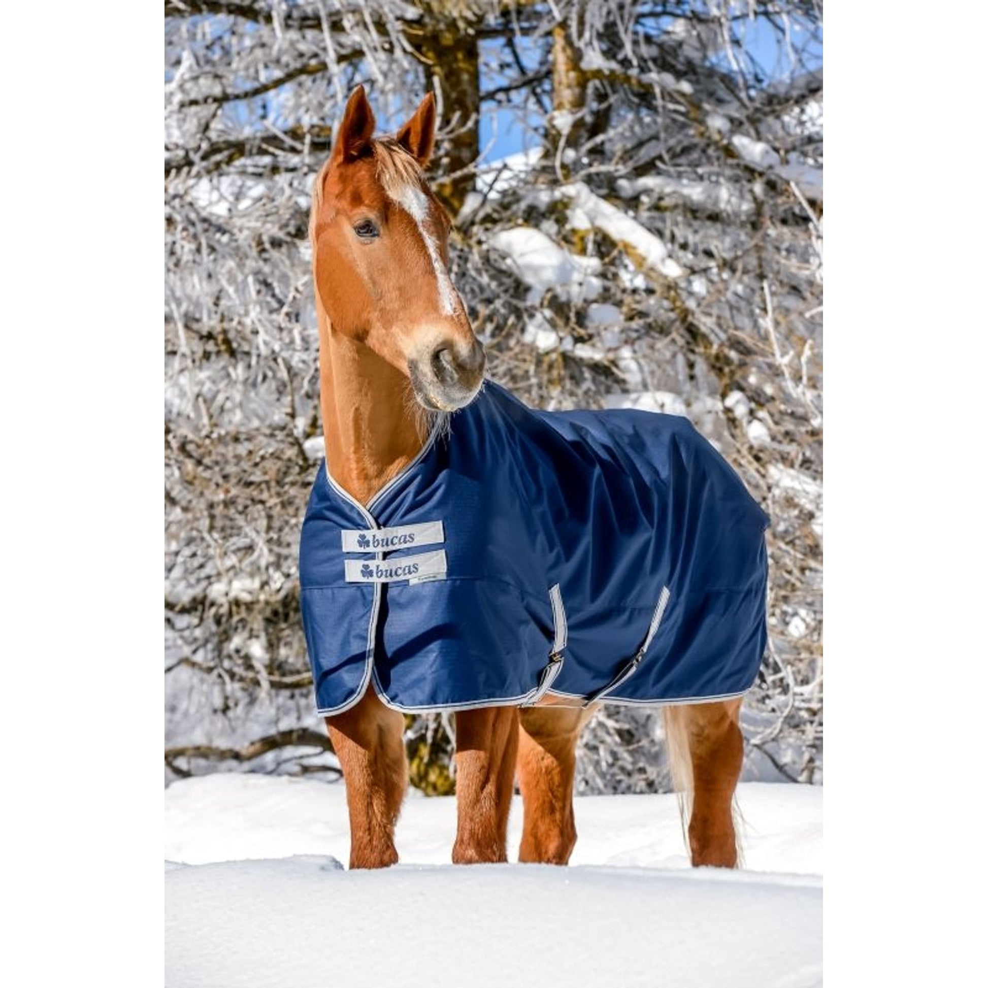 Bucas Freedom Extra Turnout Blanket