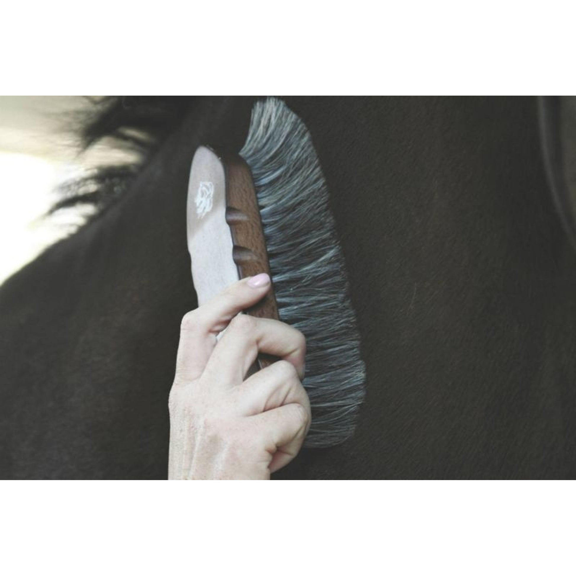 Wood Handle 7.5 Inch Horse Hair Brush