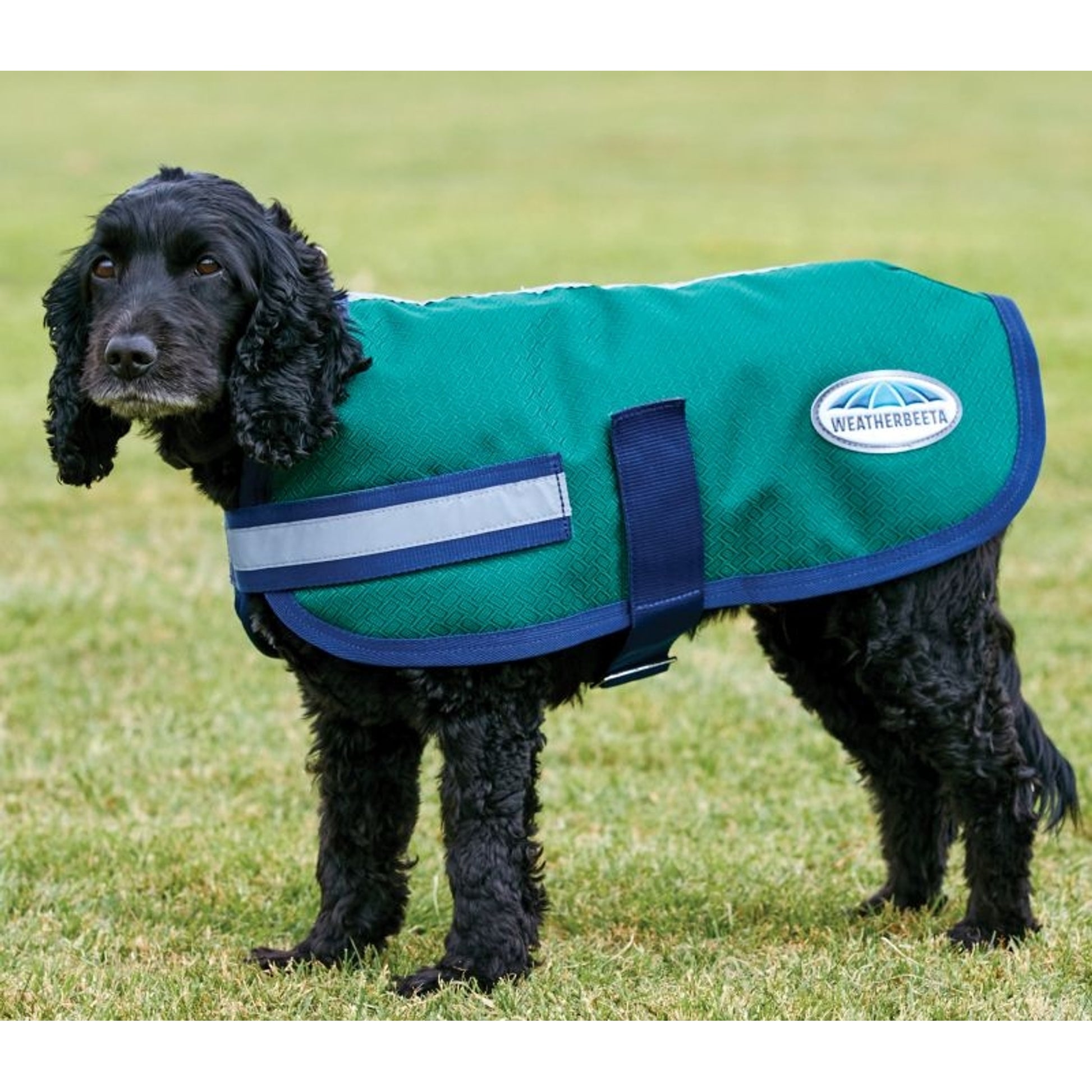 Weatherbeeta Parka 1200D Dog Coat