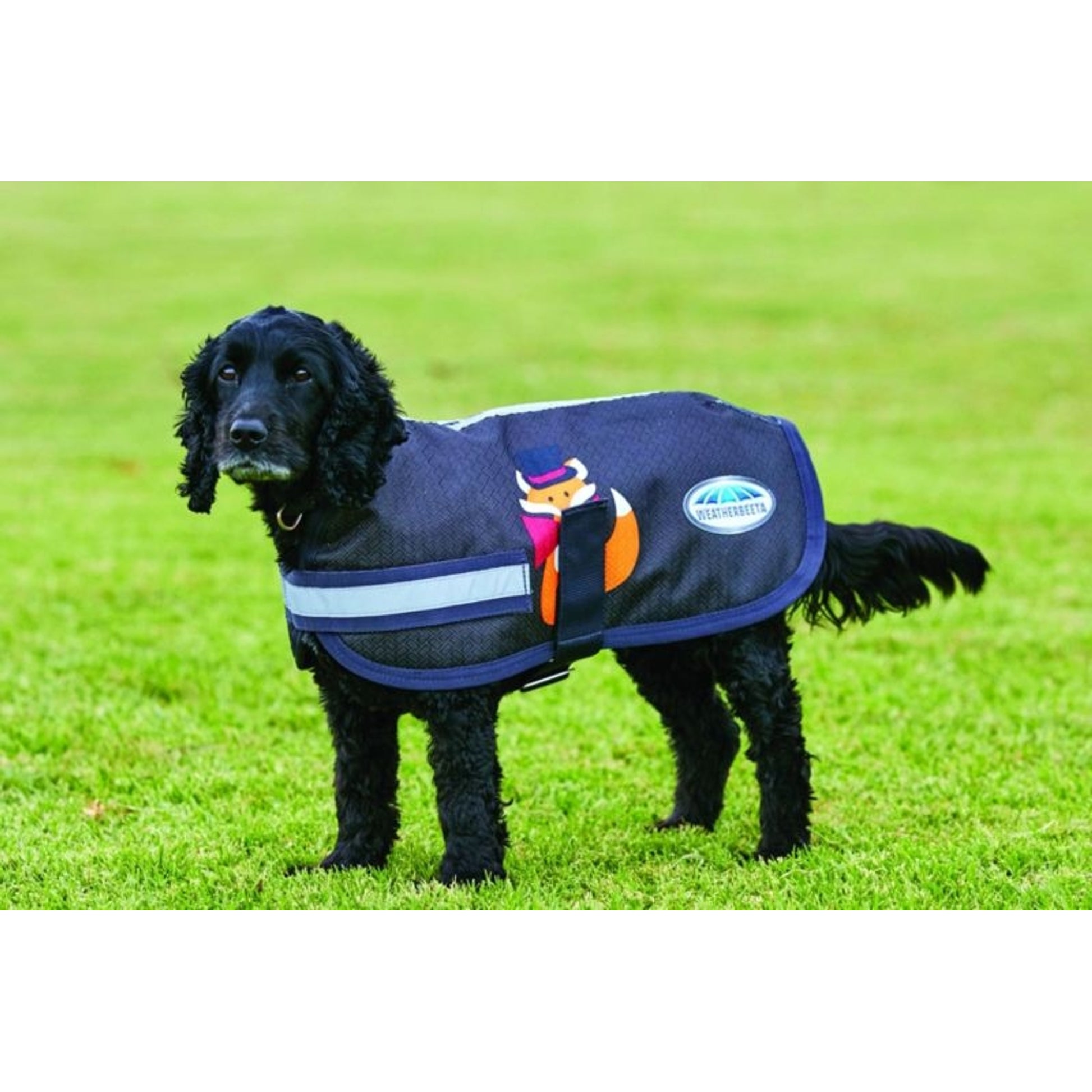Weatherbeeta Parka 1200D Dog Coat
