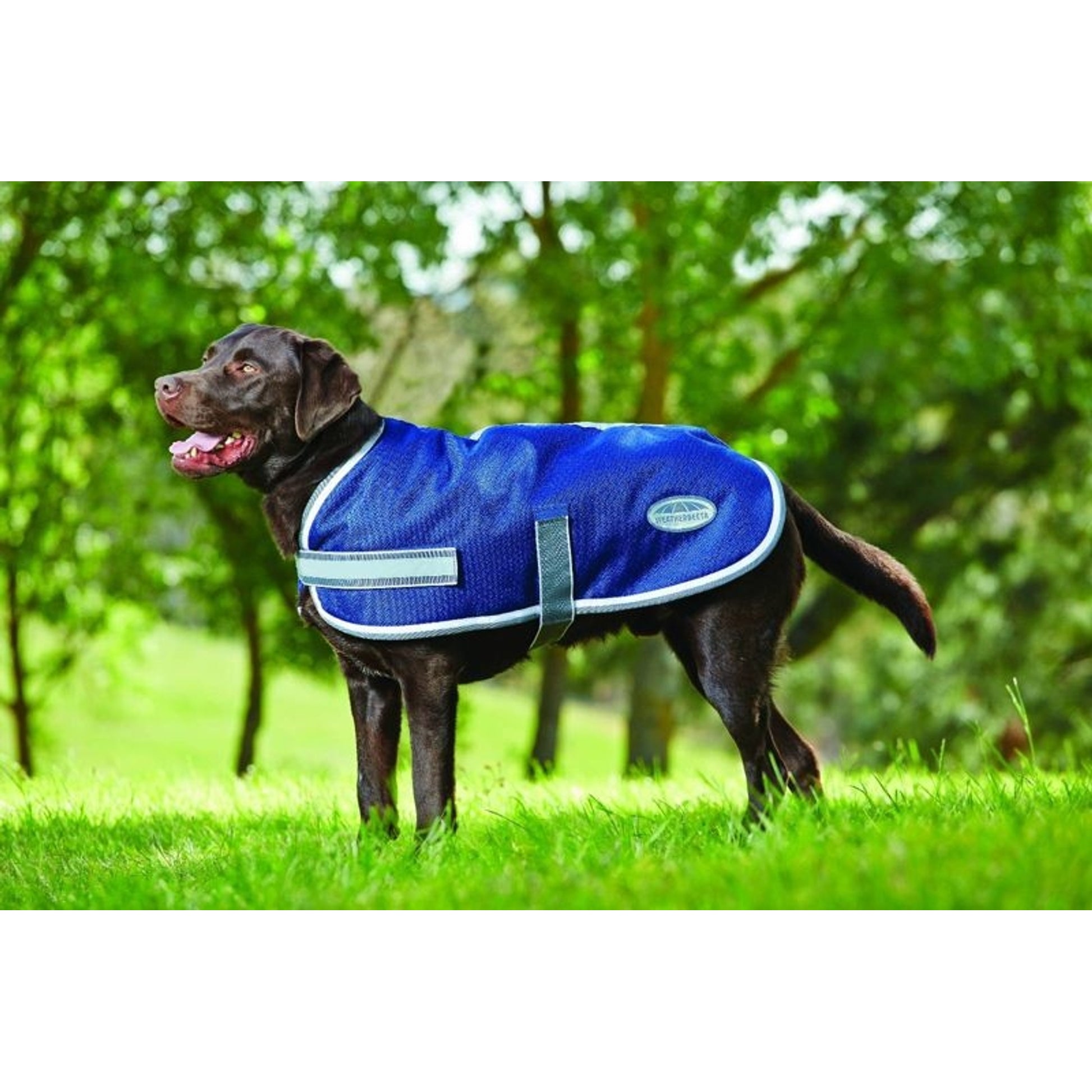 Weatherbeeta Parka 1200D Dog Coat