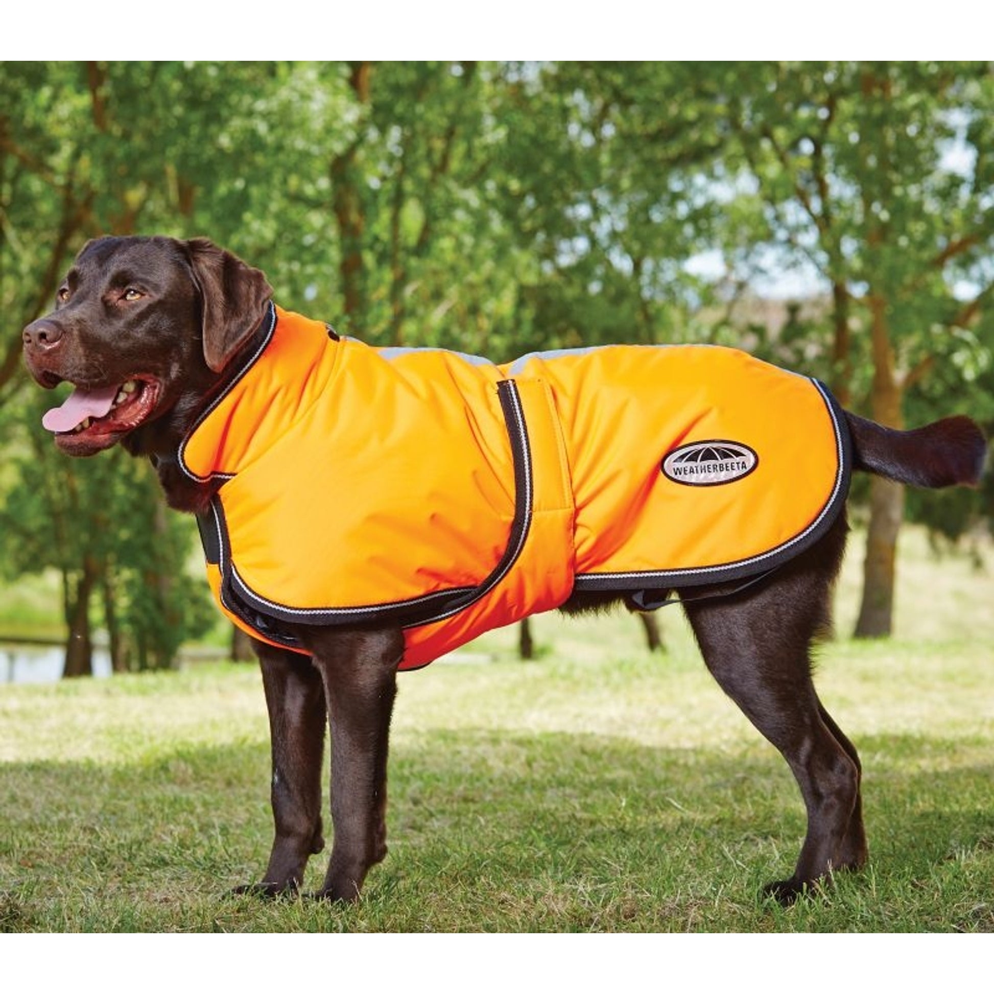 WeatherBeeta Reflect Dog Parka 300D Deluxe