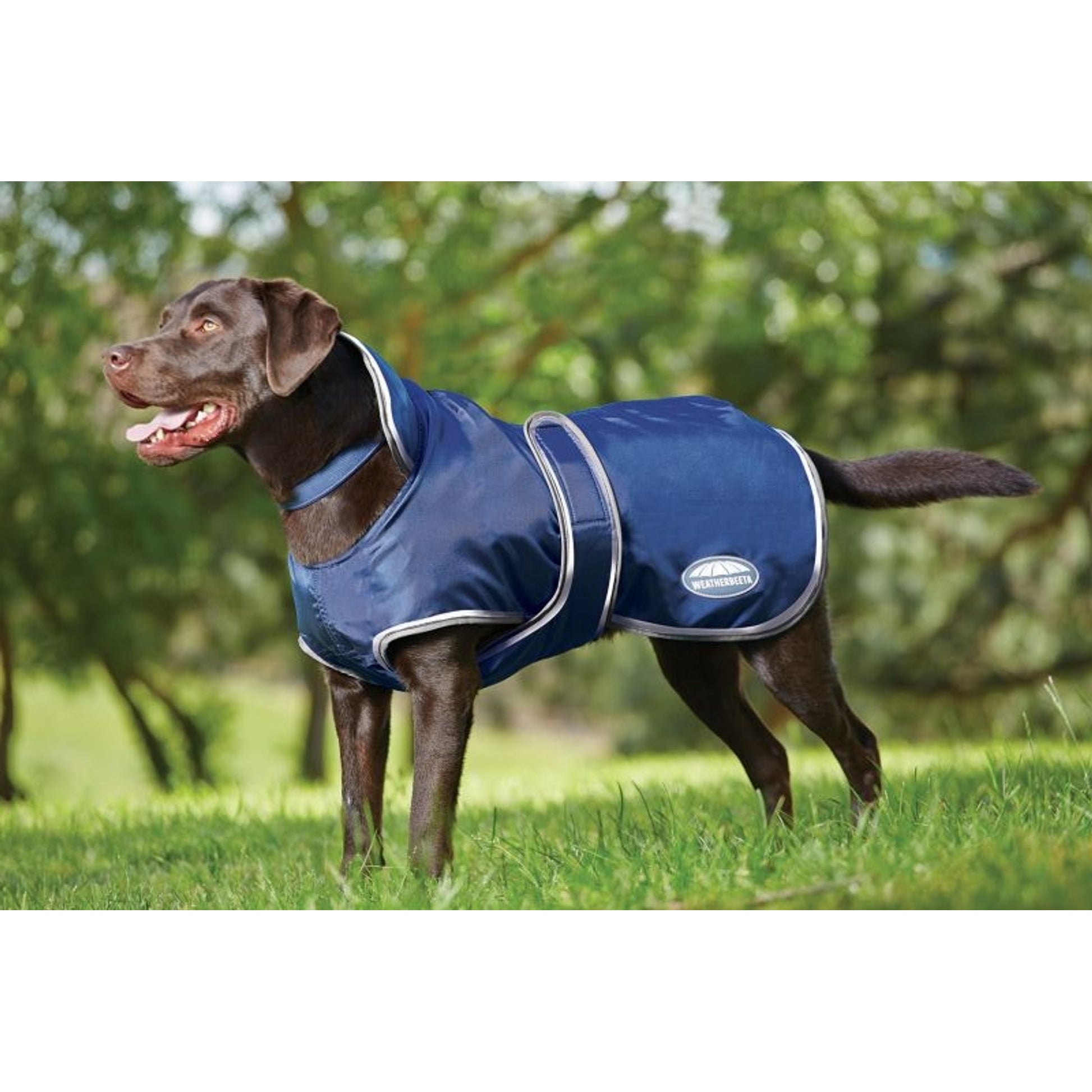 WeatherBeeta Windbreaker 420D Deluxe Dog Coat