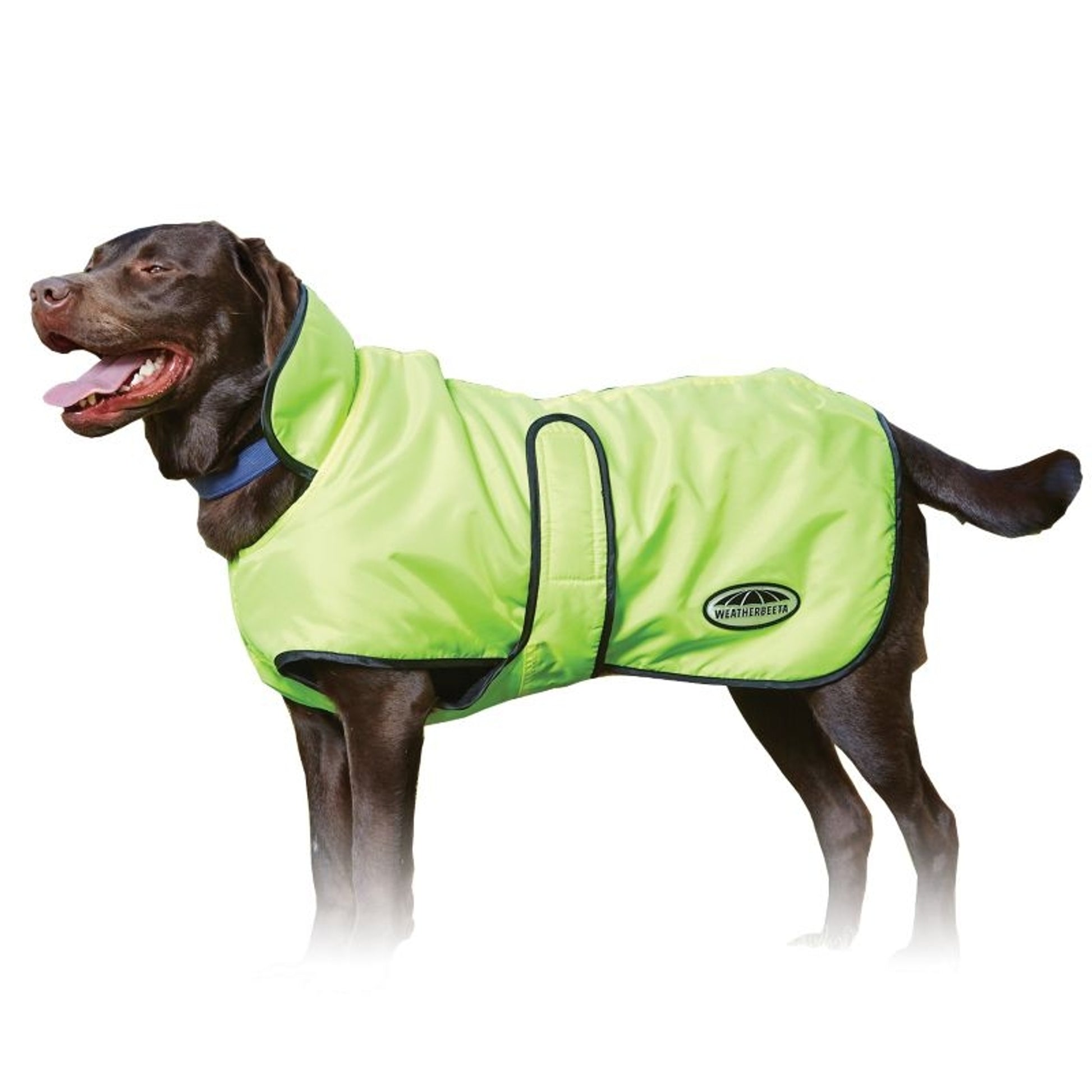 WeatherBeeta Windbreaker 420D Deluxe Dog Coat