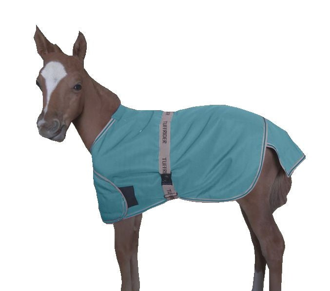 Foal