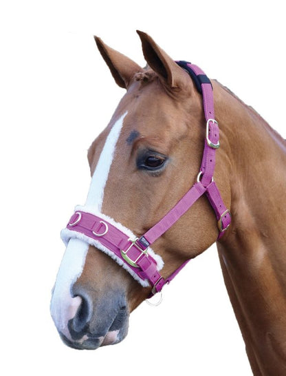 Shires Fleece Lined Lunge Cavesson