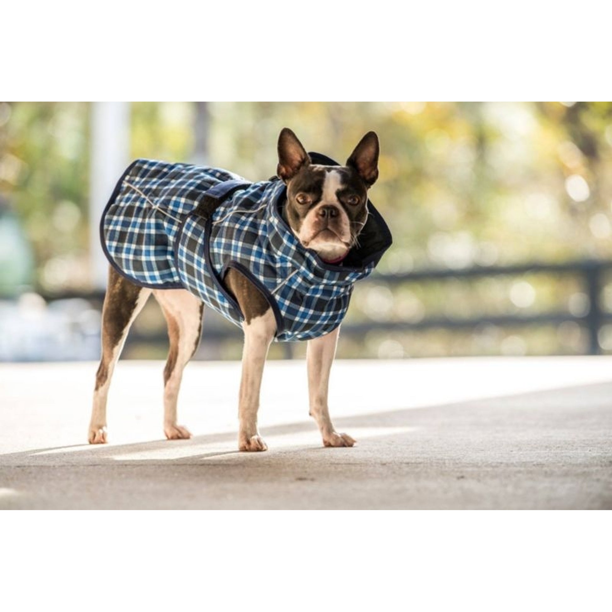 FITS Dog Coats