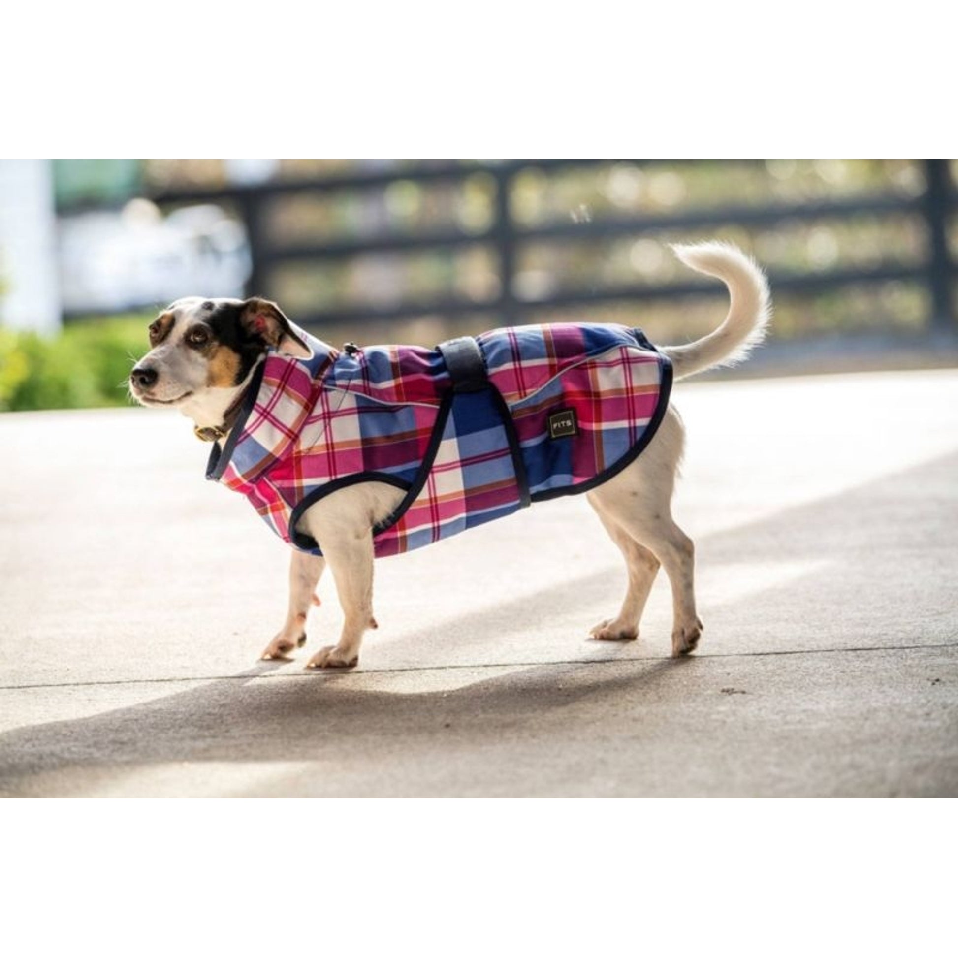 FITS Dog Coats