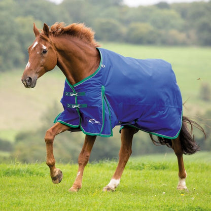 Shires Highlander Plus 200 Standard Neck Blanket