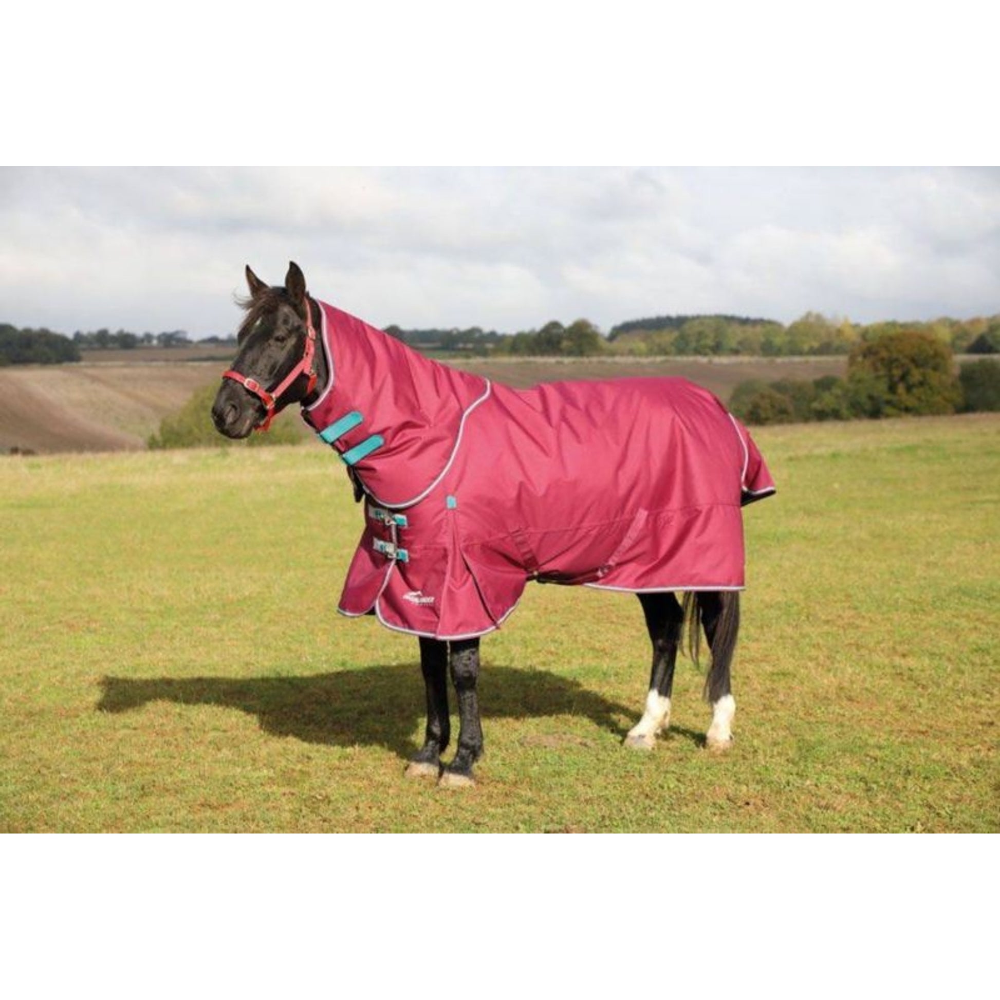Shires Highlander Plus 300g Blanket