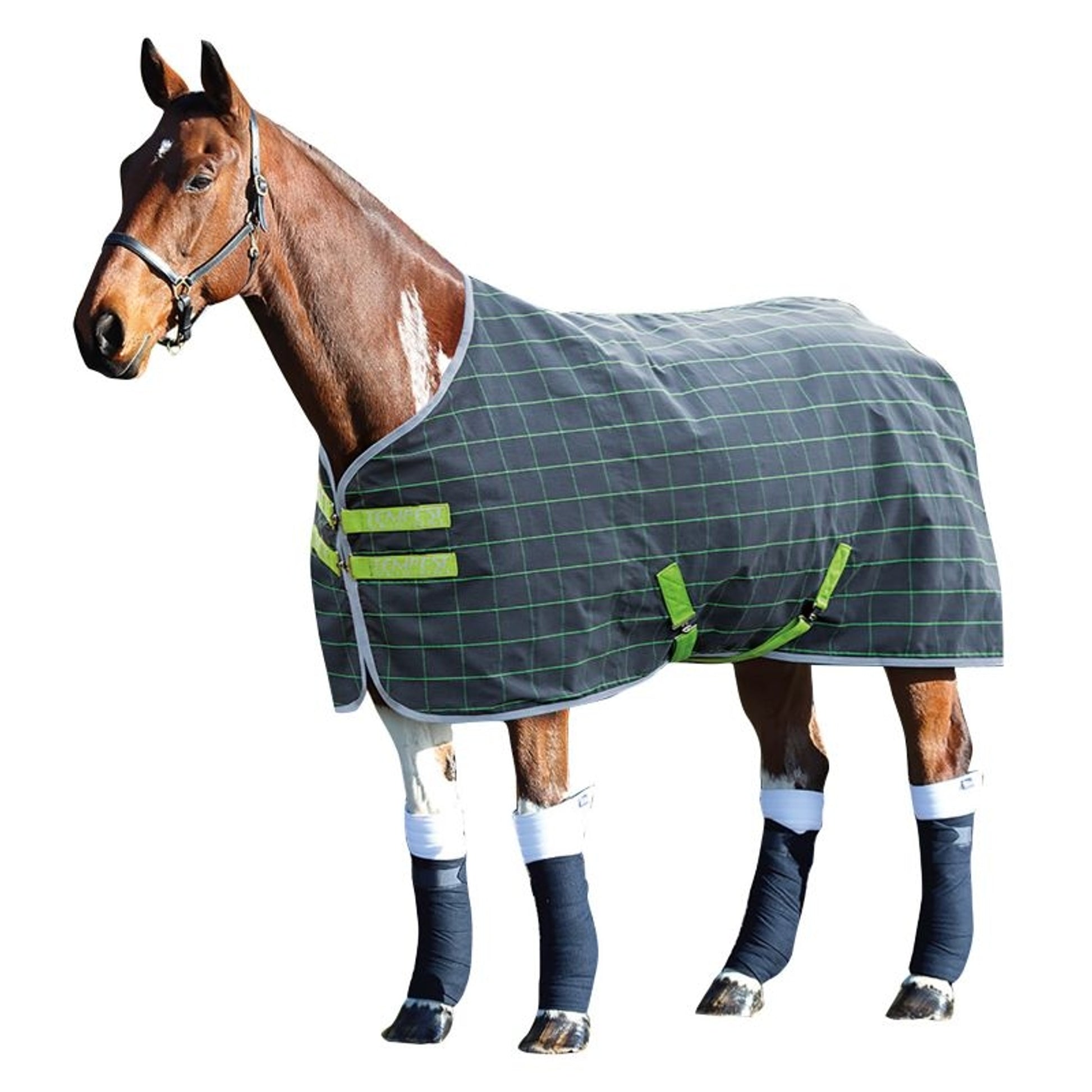 Shires Tempest Org Stable Sheet
