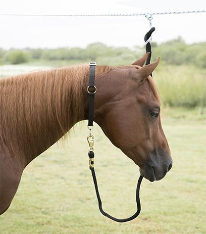 Mustang Neck Collar