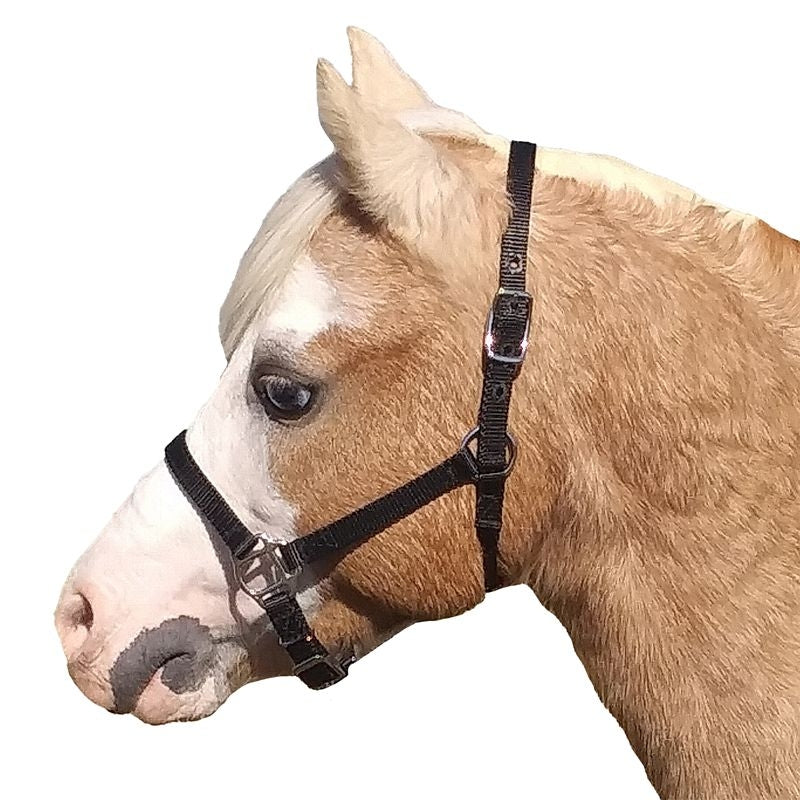 Ozark Mini Nylon Halter 5/8In