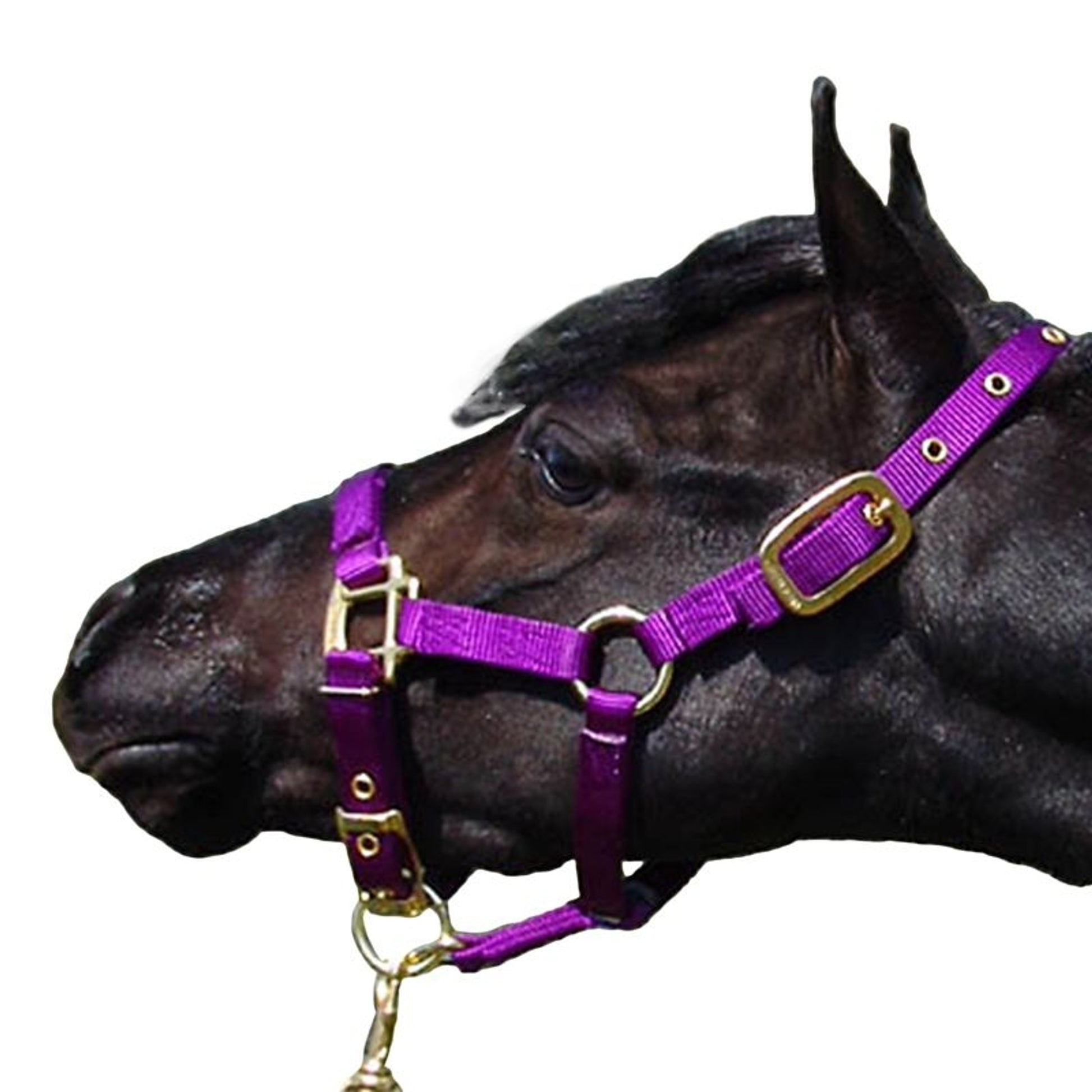 Jacks Spiked Bit Burr Black