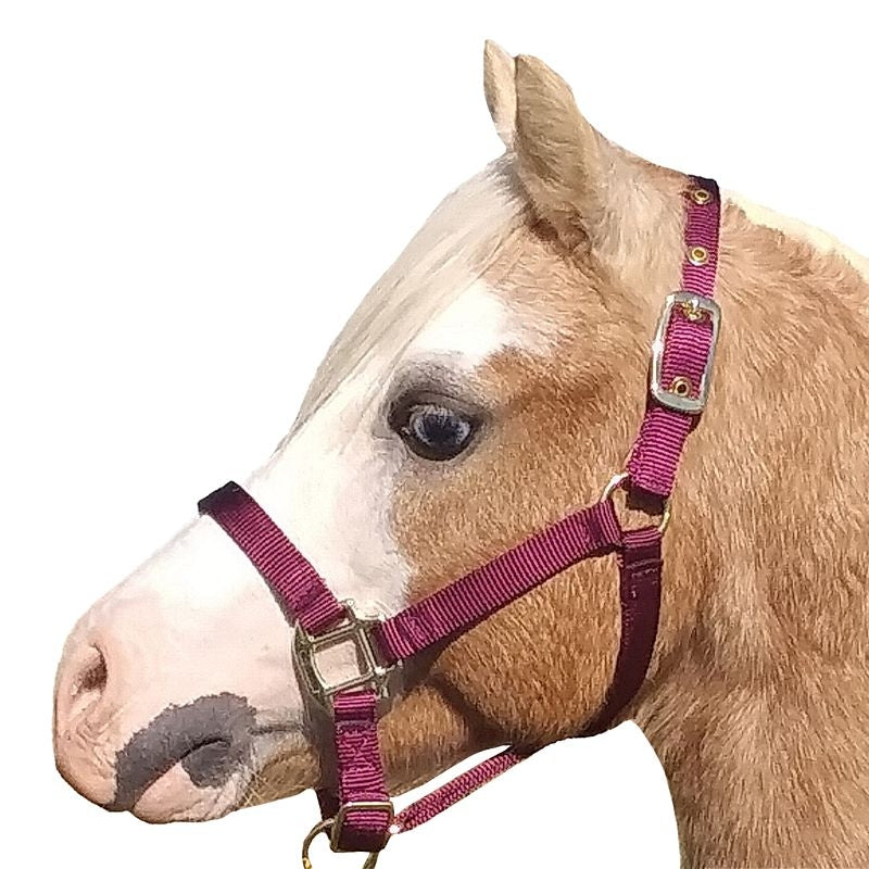 Ozark Mini Premium Nylon Halter
