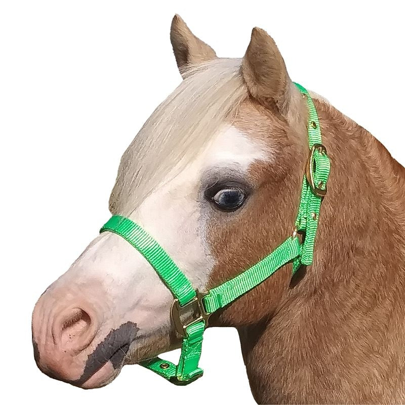 Ozark Mini Premium Nylon Halter