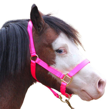 Jacks Spiked Bit Burr Black