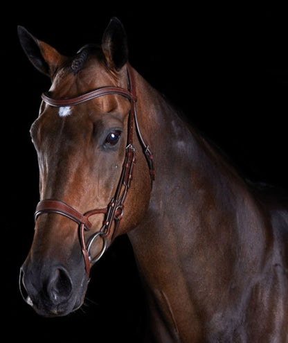Collegiate ComFiTec Training Bridle