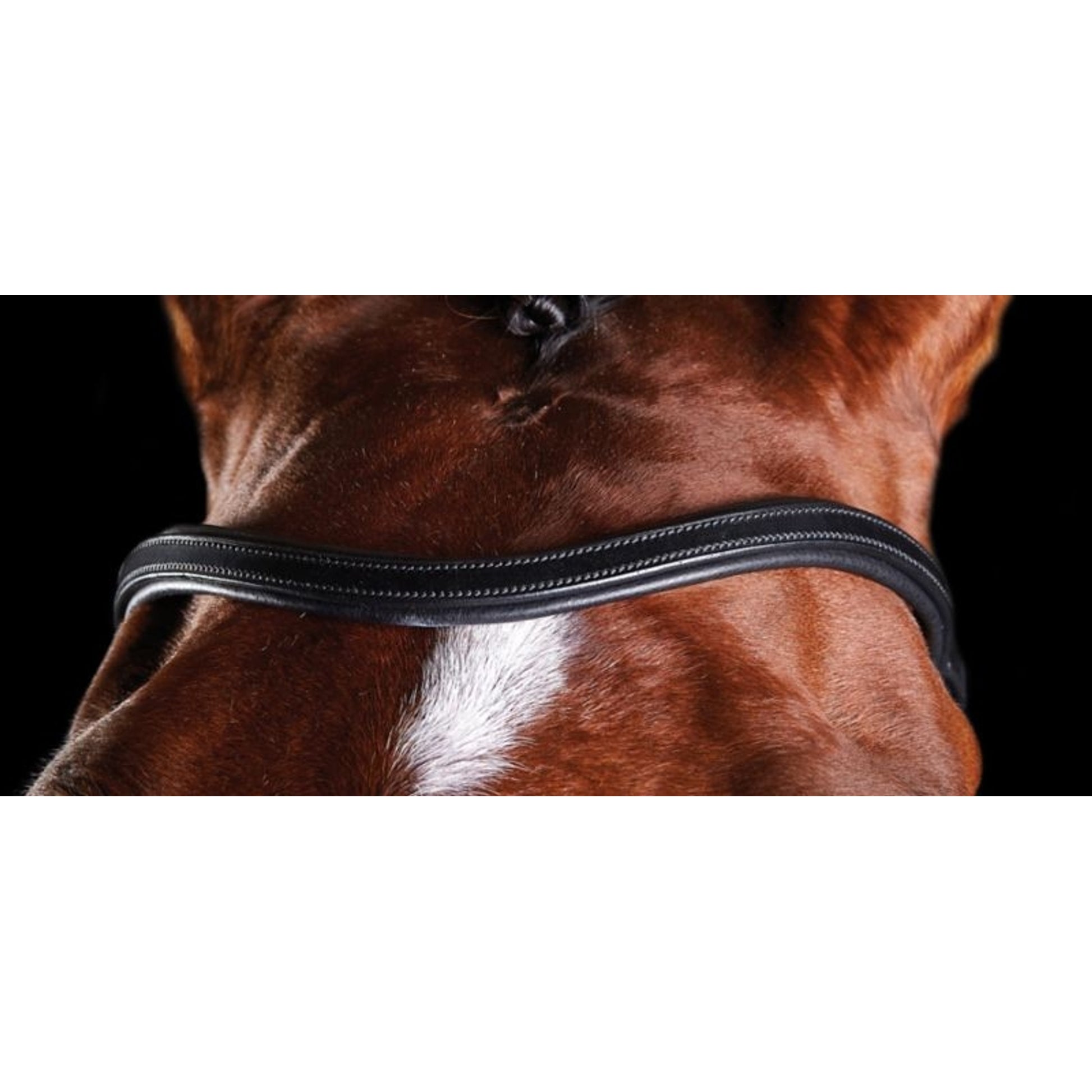 Collegiate ComFiTec Training Bridle