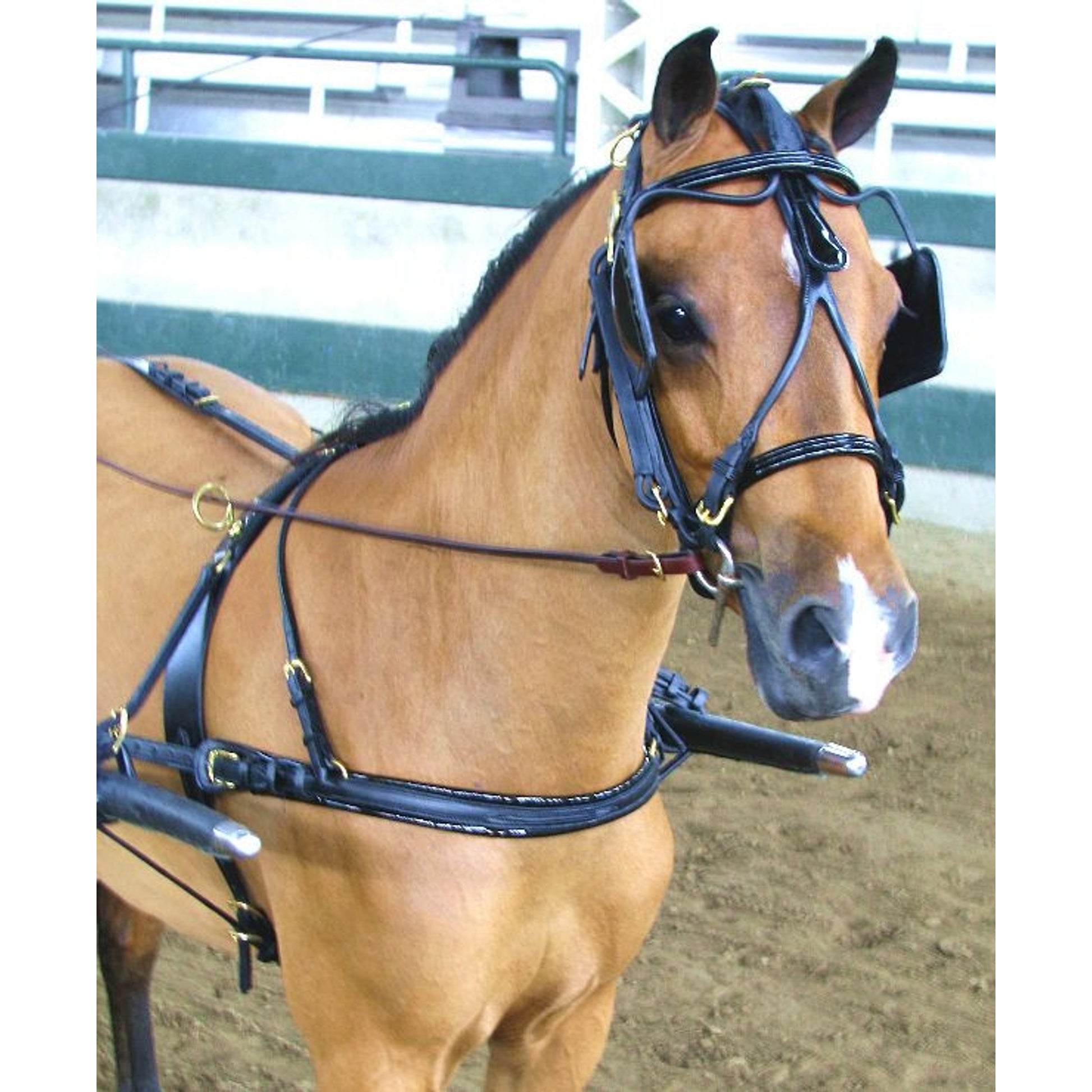 Ozark Dual Headstall Leather Pony Show Harness