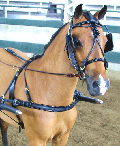 Ozark Dual Headstall Leather Pony Show Harness