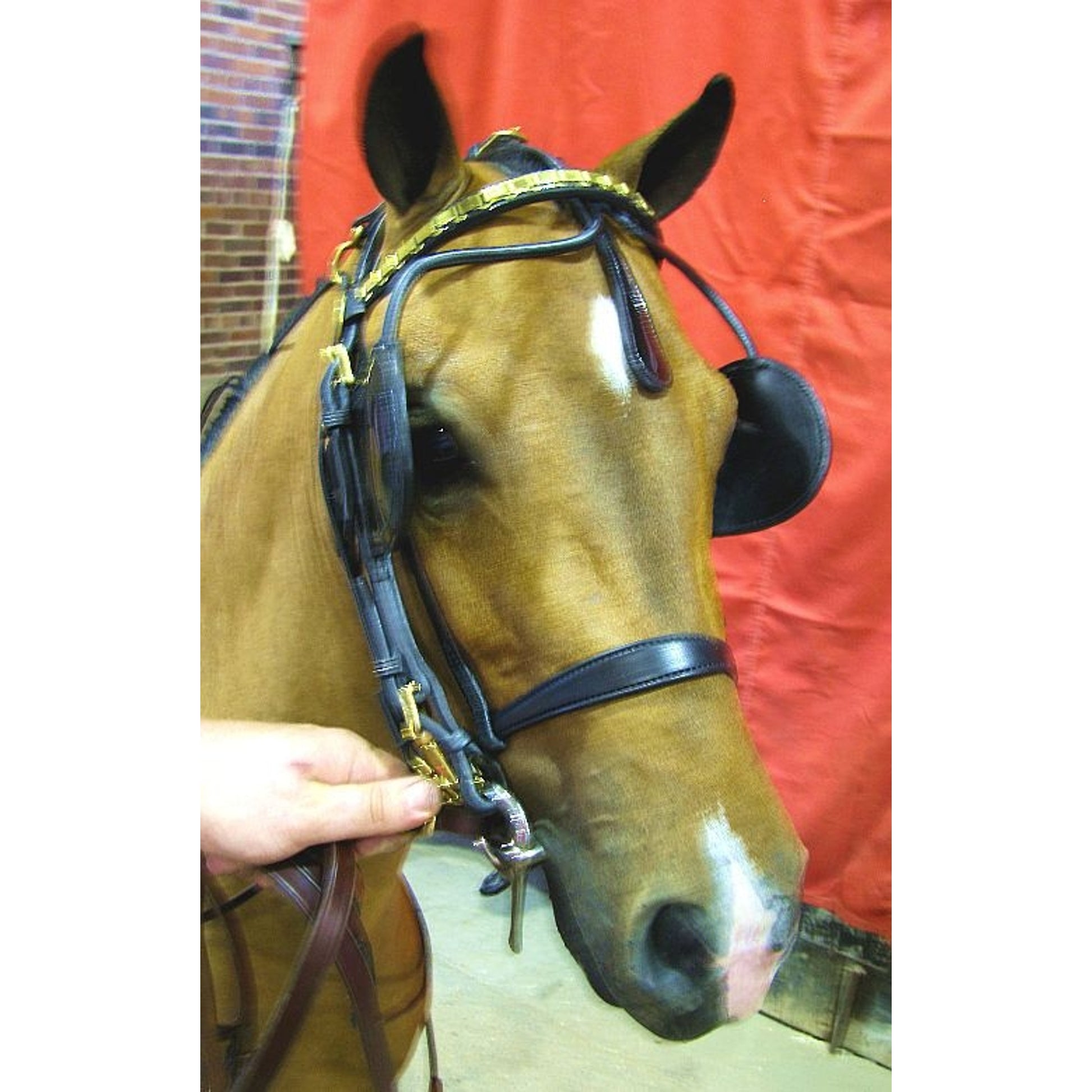 Ozark Dual Headstall Leather Pony Show Harness