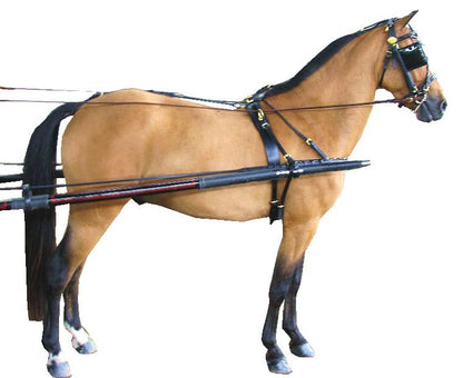 Ozark Dual Headstall Leather Pony Show Harness