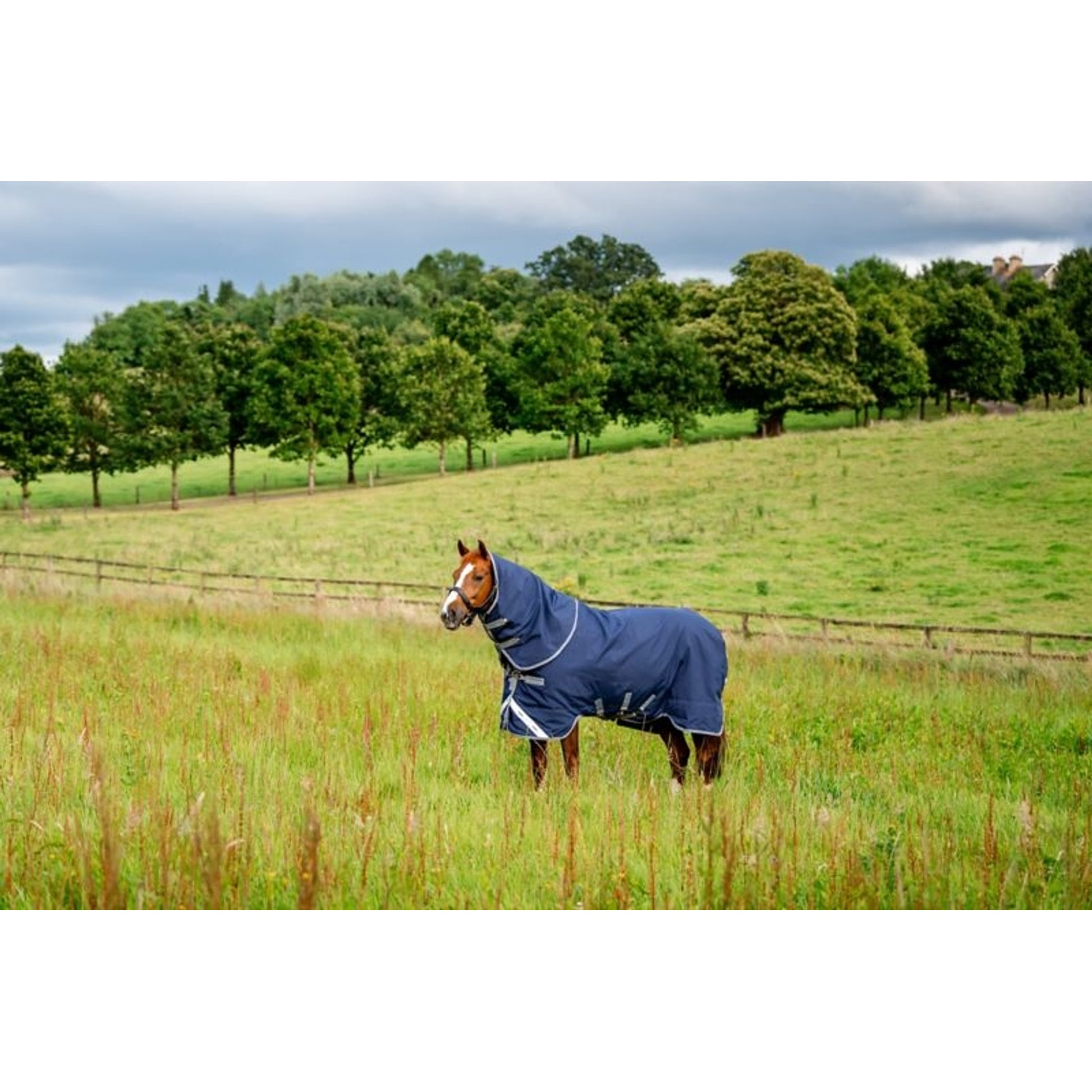 Rhino Plus Turnout 250g VL