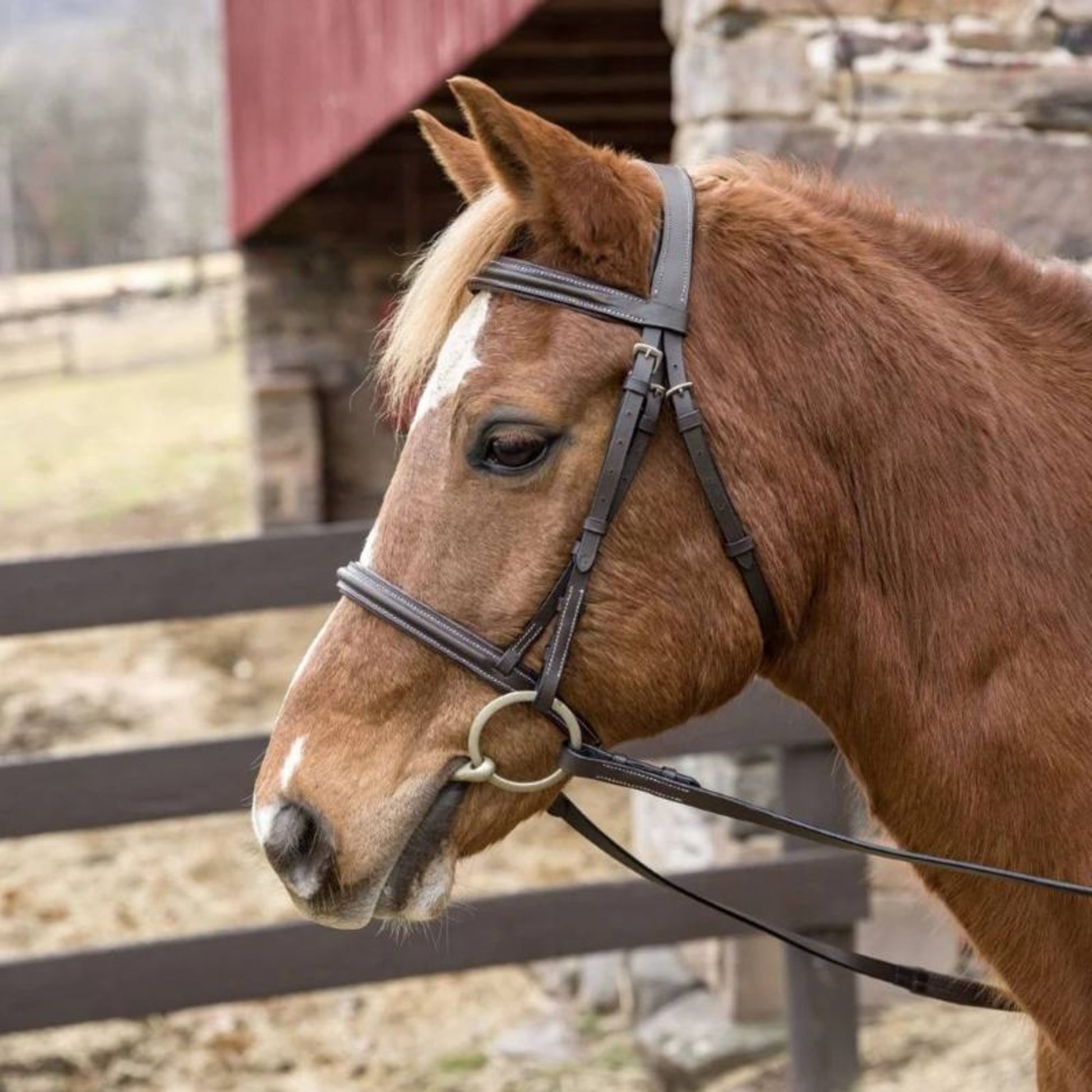 HDR Pro Stress Free Padded Bridle